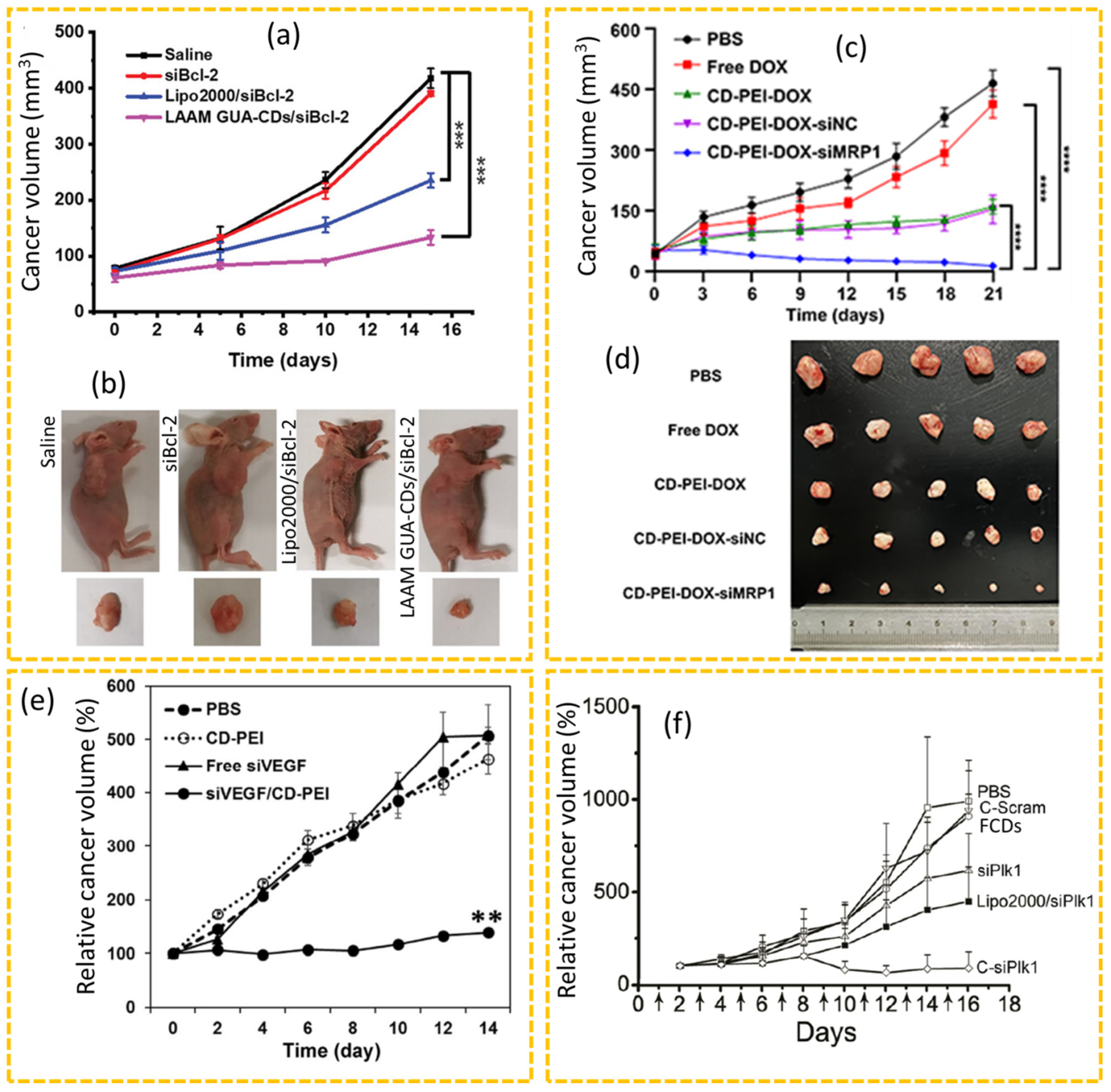 Nanomaterials 15 00781 g014