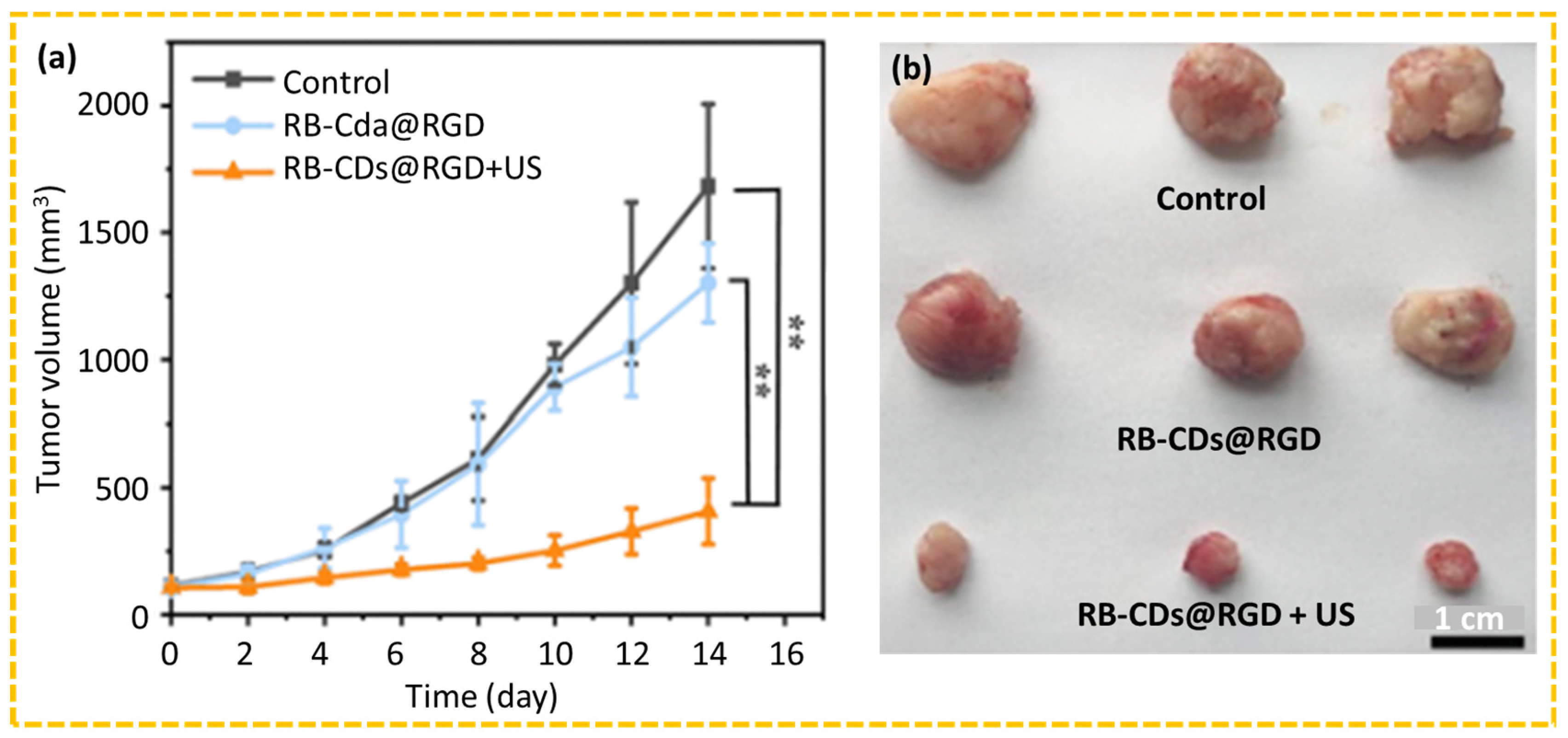Nanomaterials 15 00781 g015