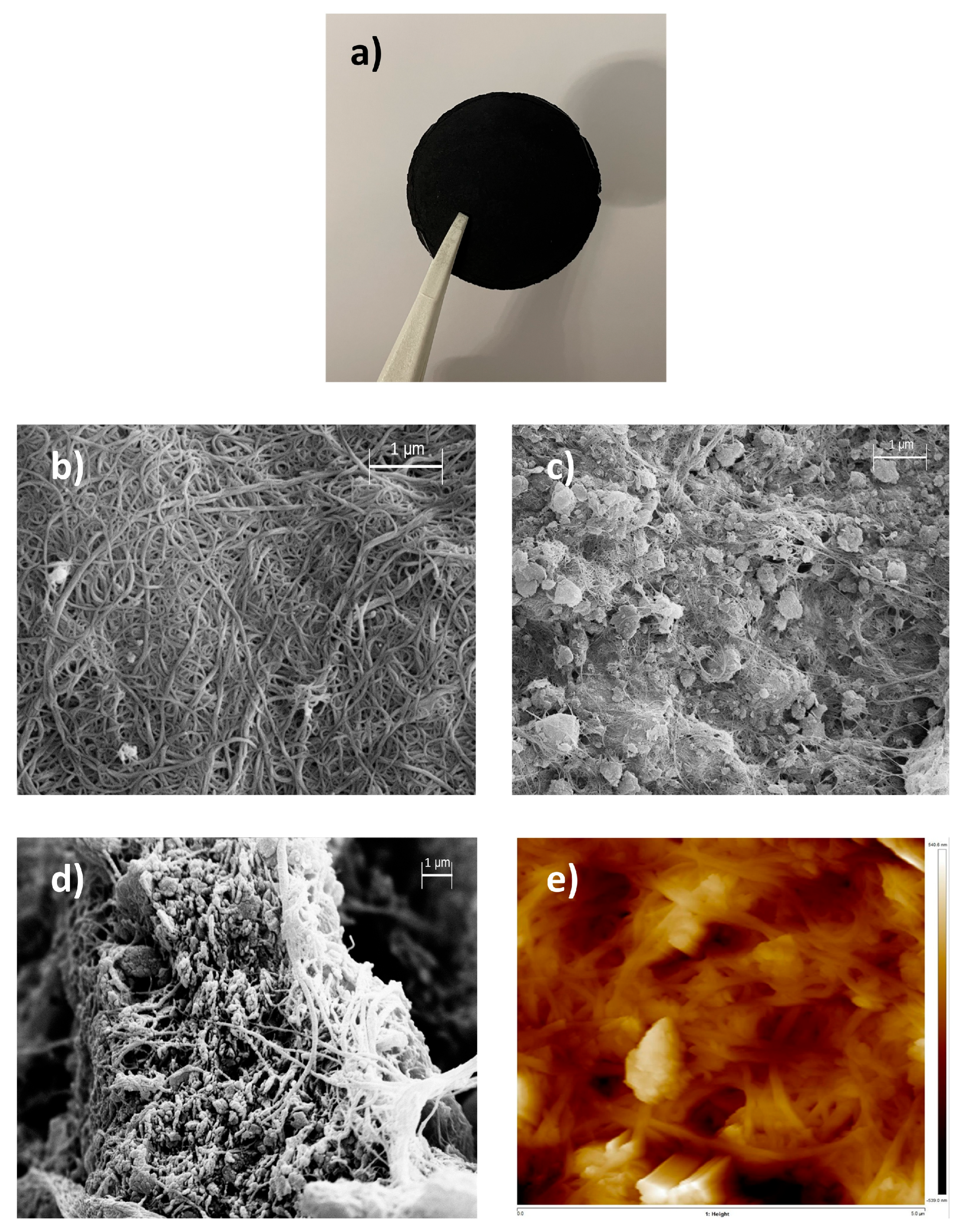 Nanomaterials 15 00782 g001