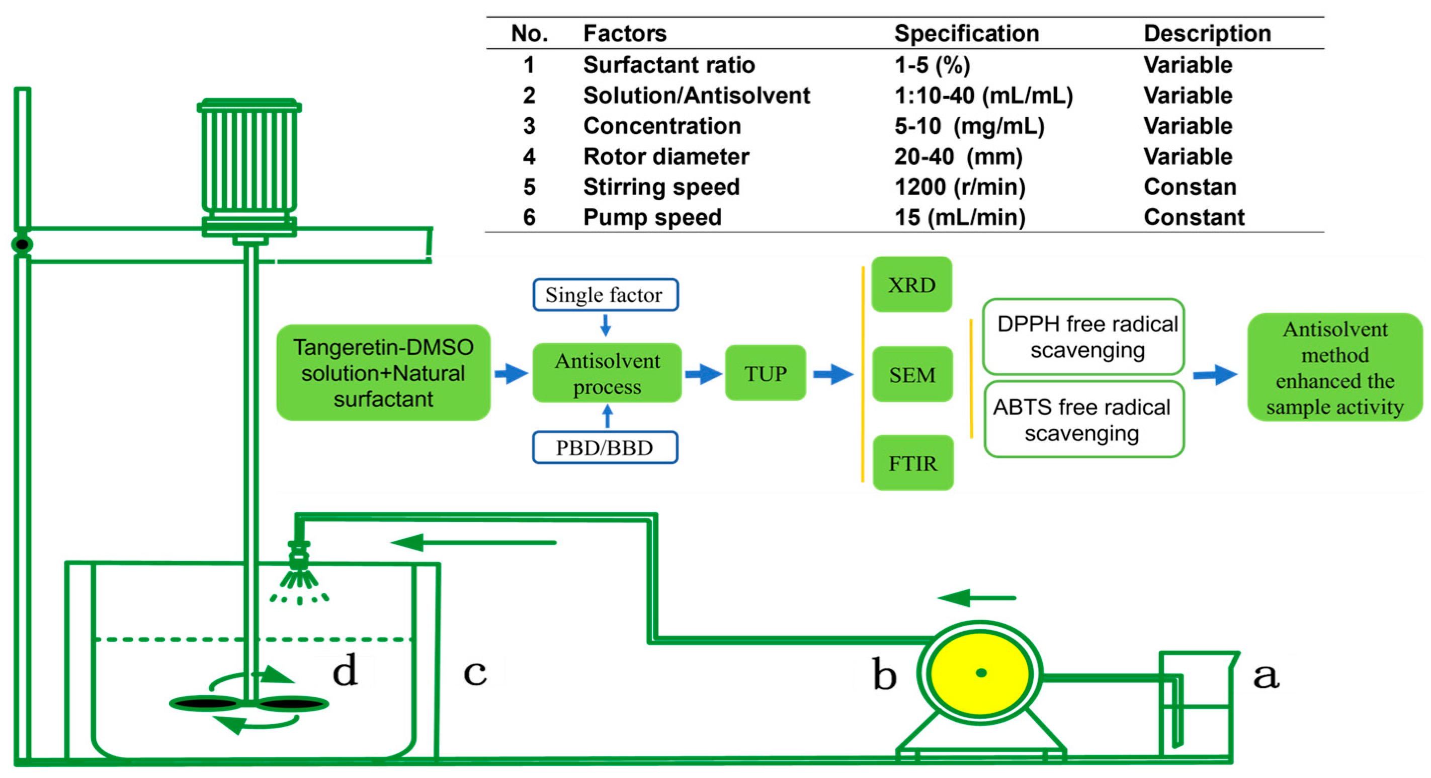 Nanomaterials 15 00791 g001
