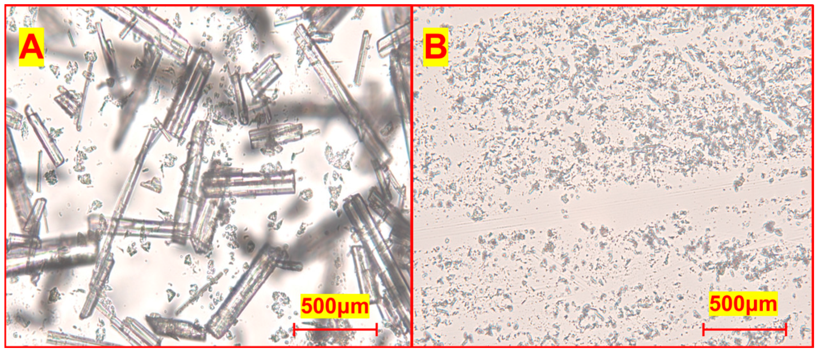 Nanomaterials 15 00791 g004