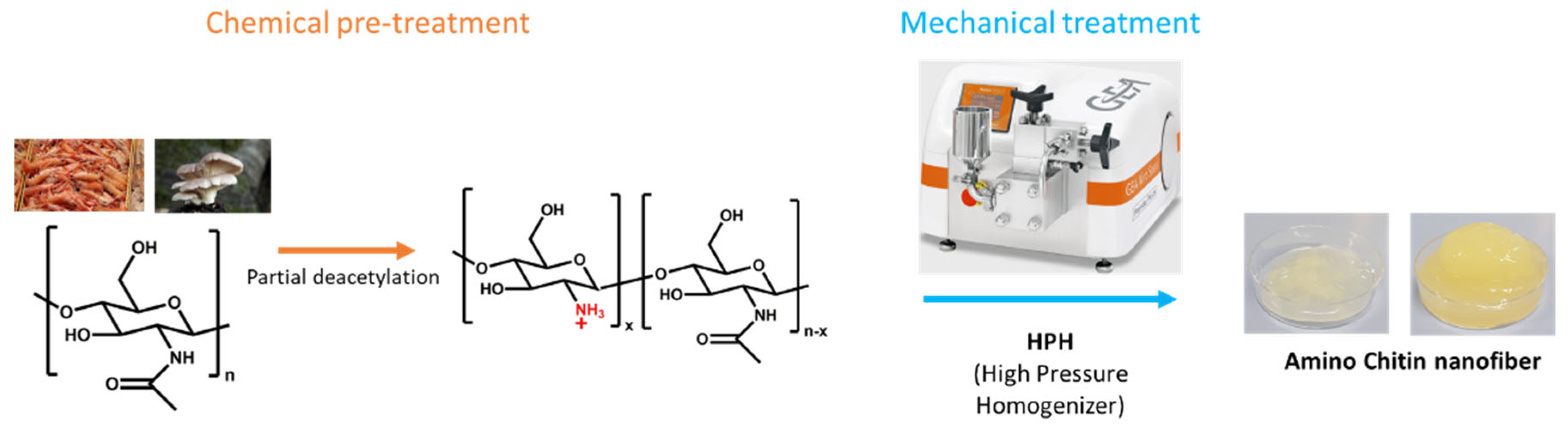 Nanomaterials 15 00809 g001