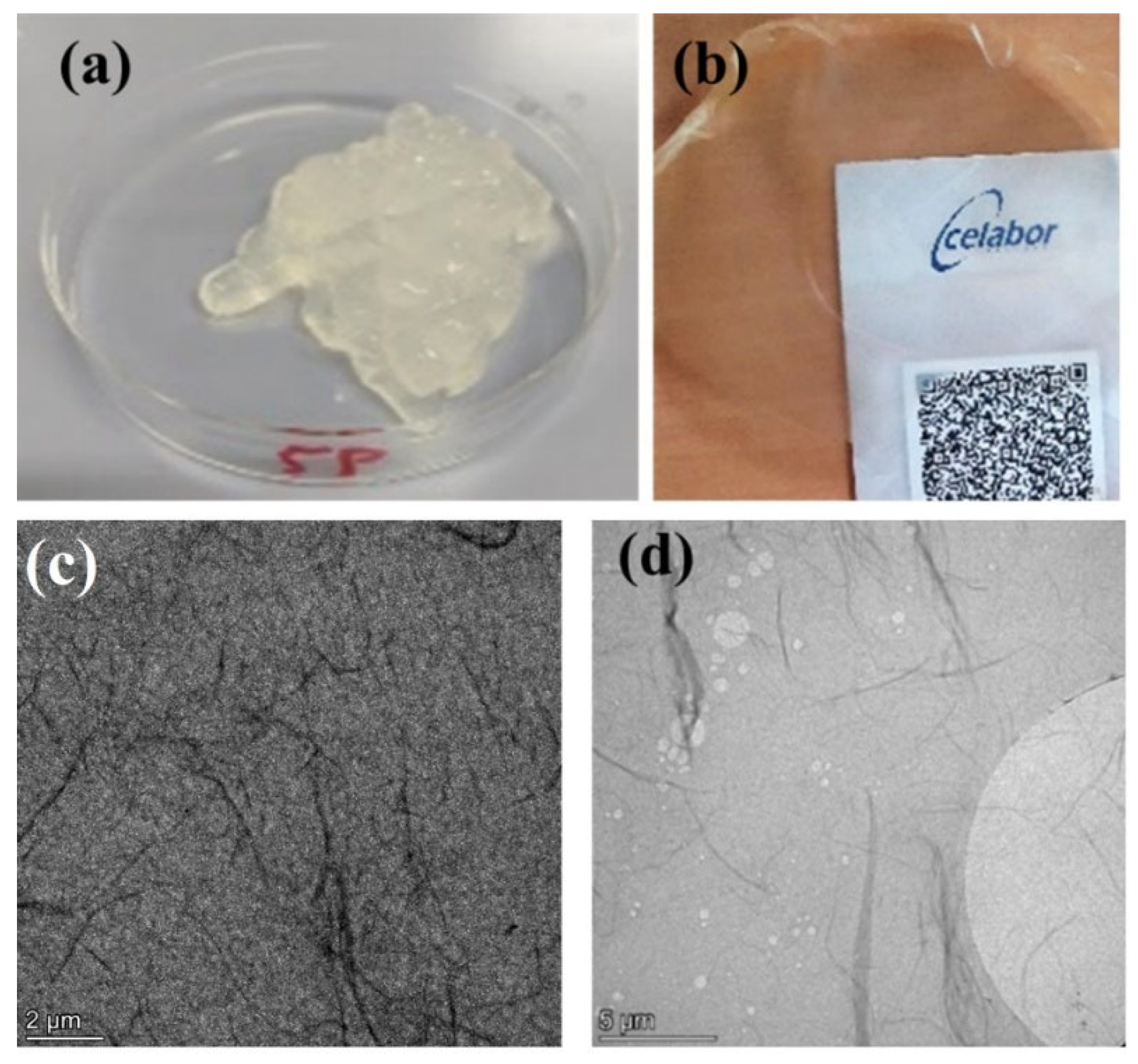 Nanomaterials 15 00809 g003