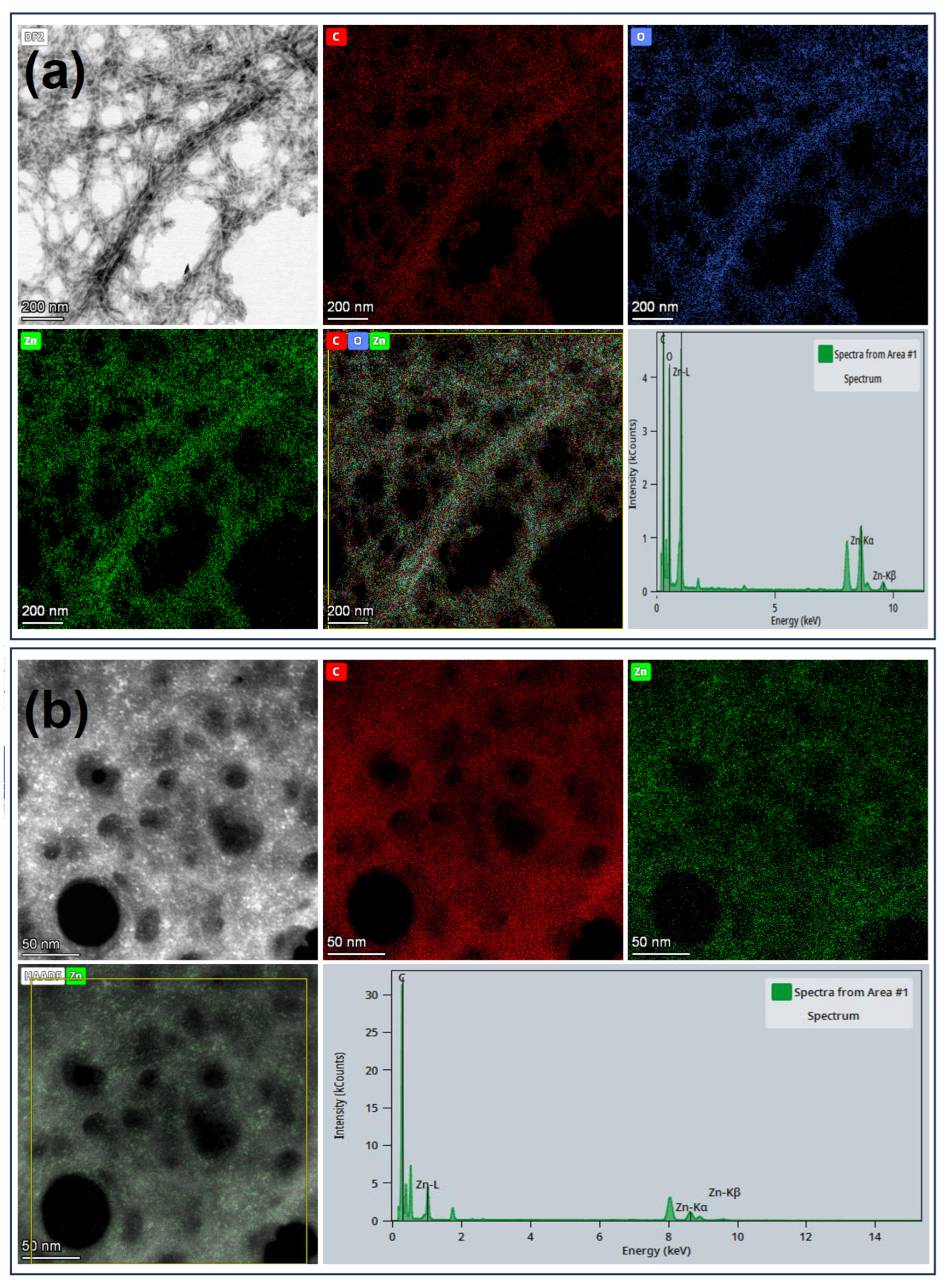 Nanomaterials 15 00809 g005