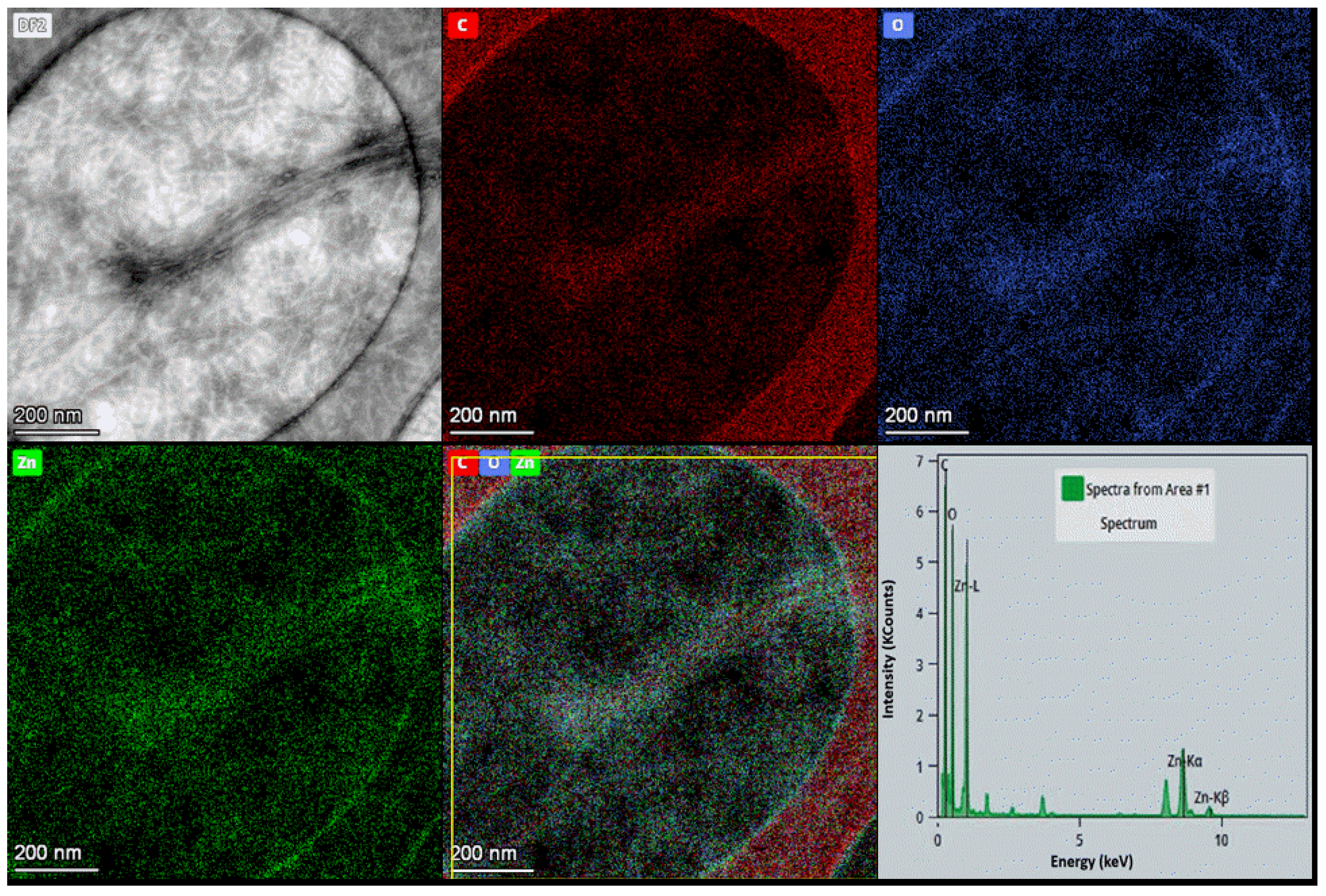 Nanomaterials 15 00809 g008