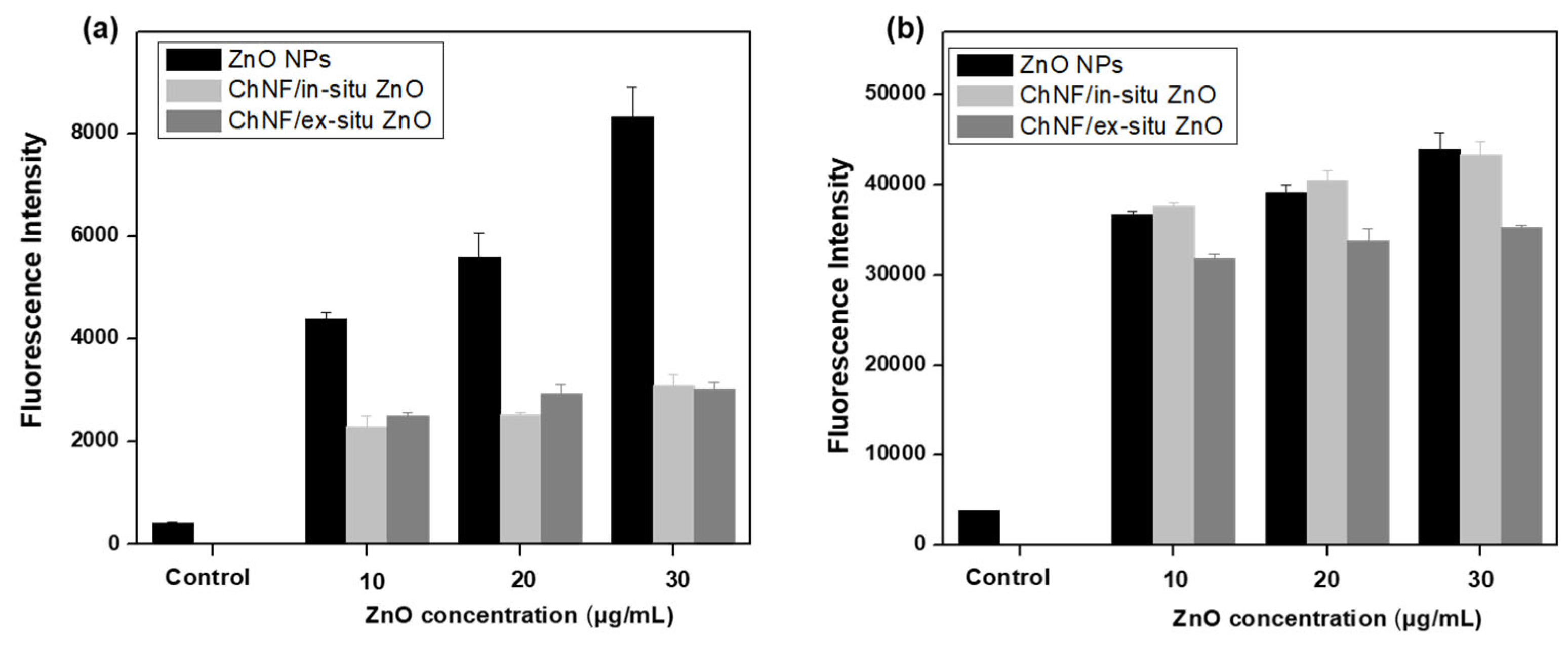 Nanomaterials 15 00809 g010