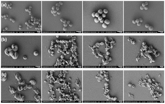 Sustainable Antibacterial Chitin Nanofiber/ZnO Nanohybrid