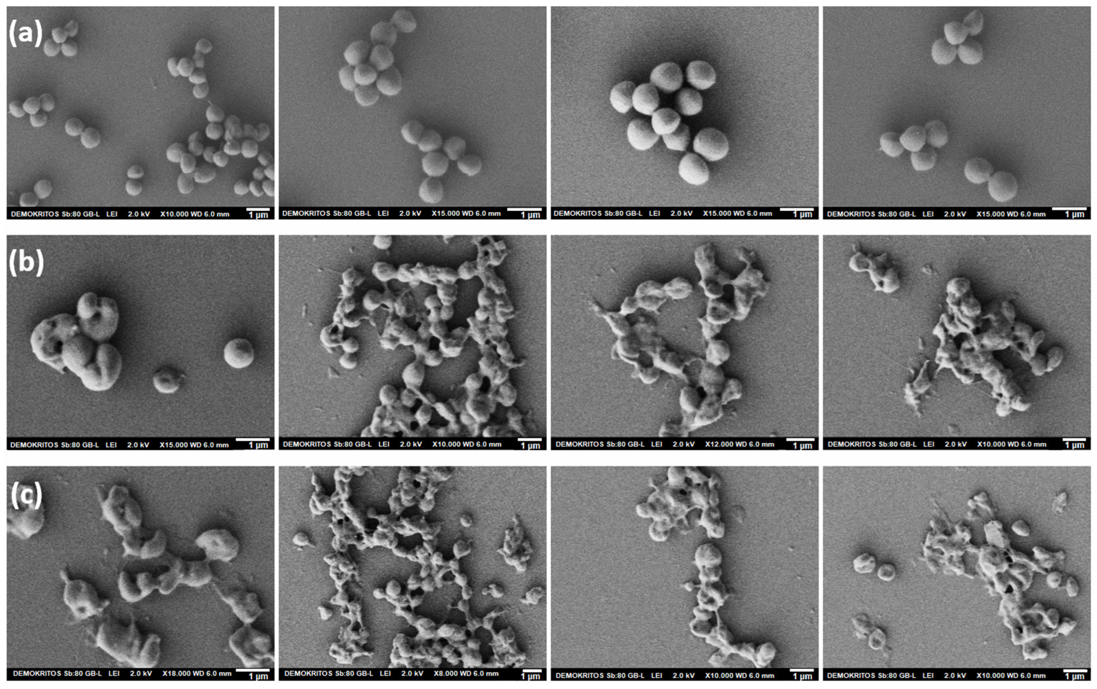Nanomaterials 15 00809 g011