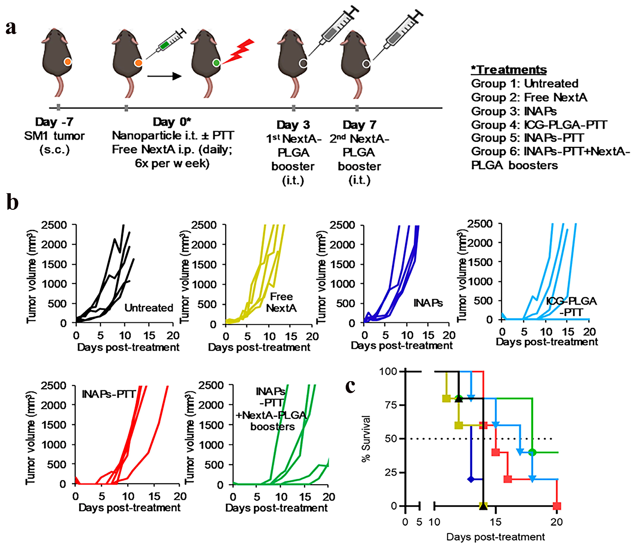Nanomaterials 15 00811 g002 Nanomaterials 15 00811 g002