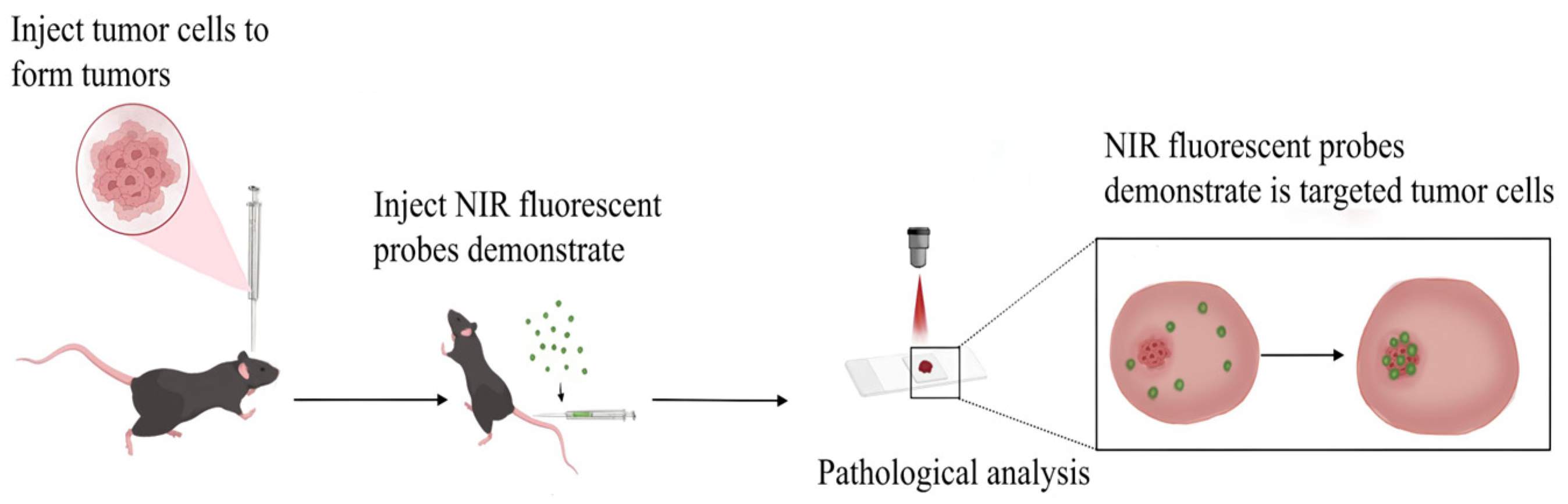 Nanomaterials 15 00811 g003 Nanomaterials 15 00811 g003