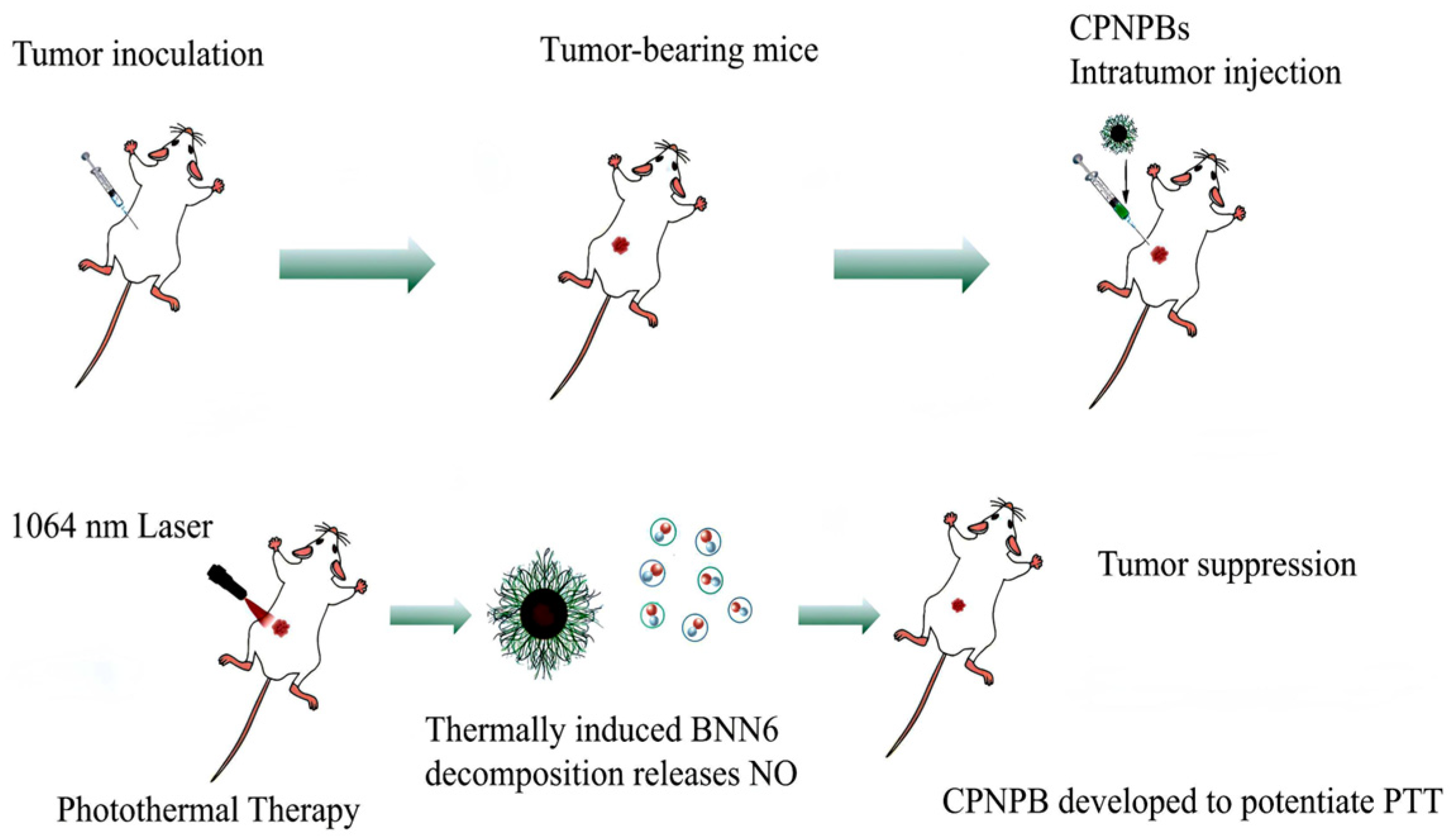 Nanomaterials 15 00811 g007 Nanomaterials 15 00811 g007