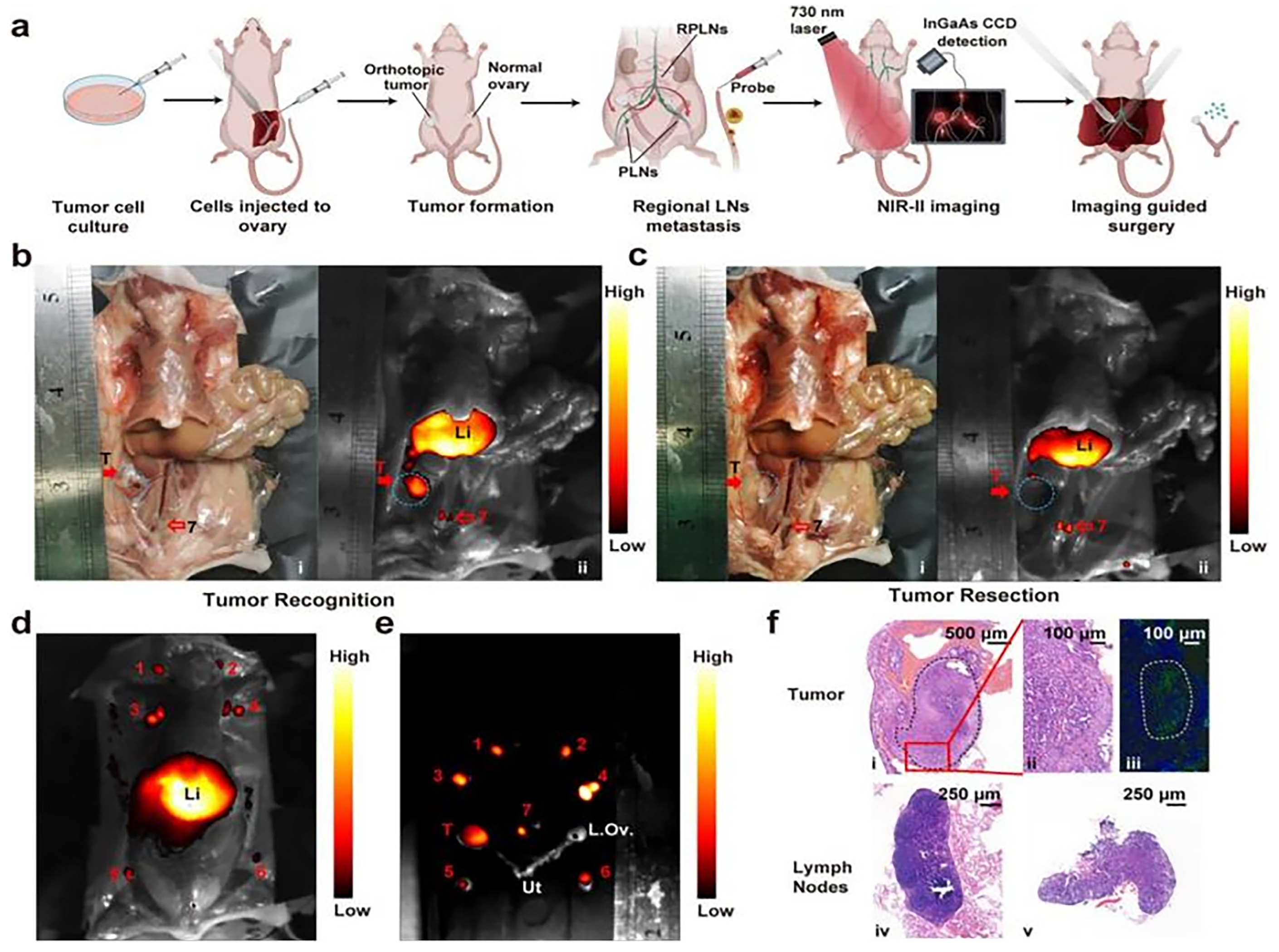 Nanomaterials 15 00811 g008 Nanomaterials 15 00811 g008