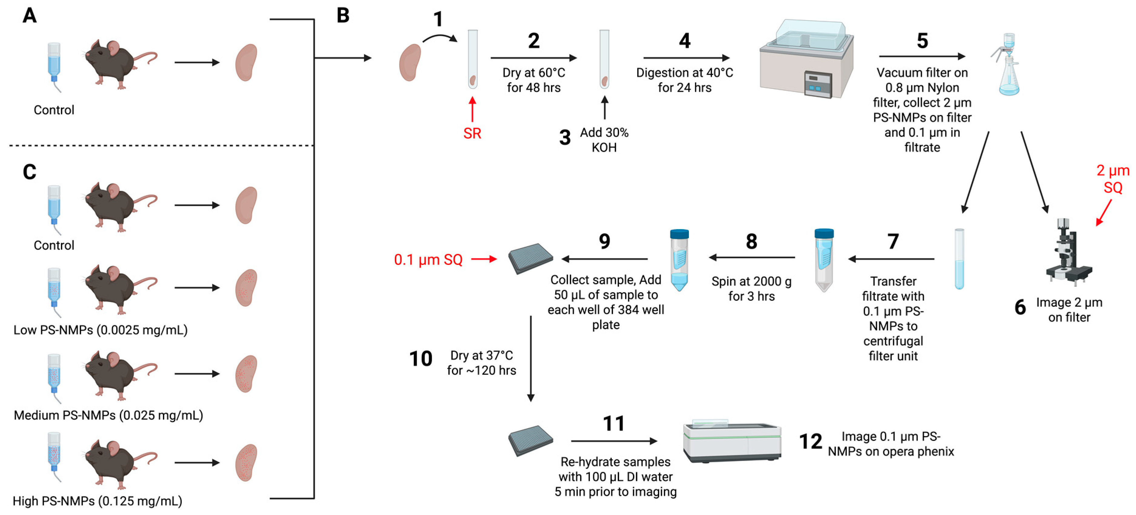 Nanomaterials 15 00812 g001