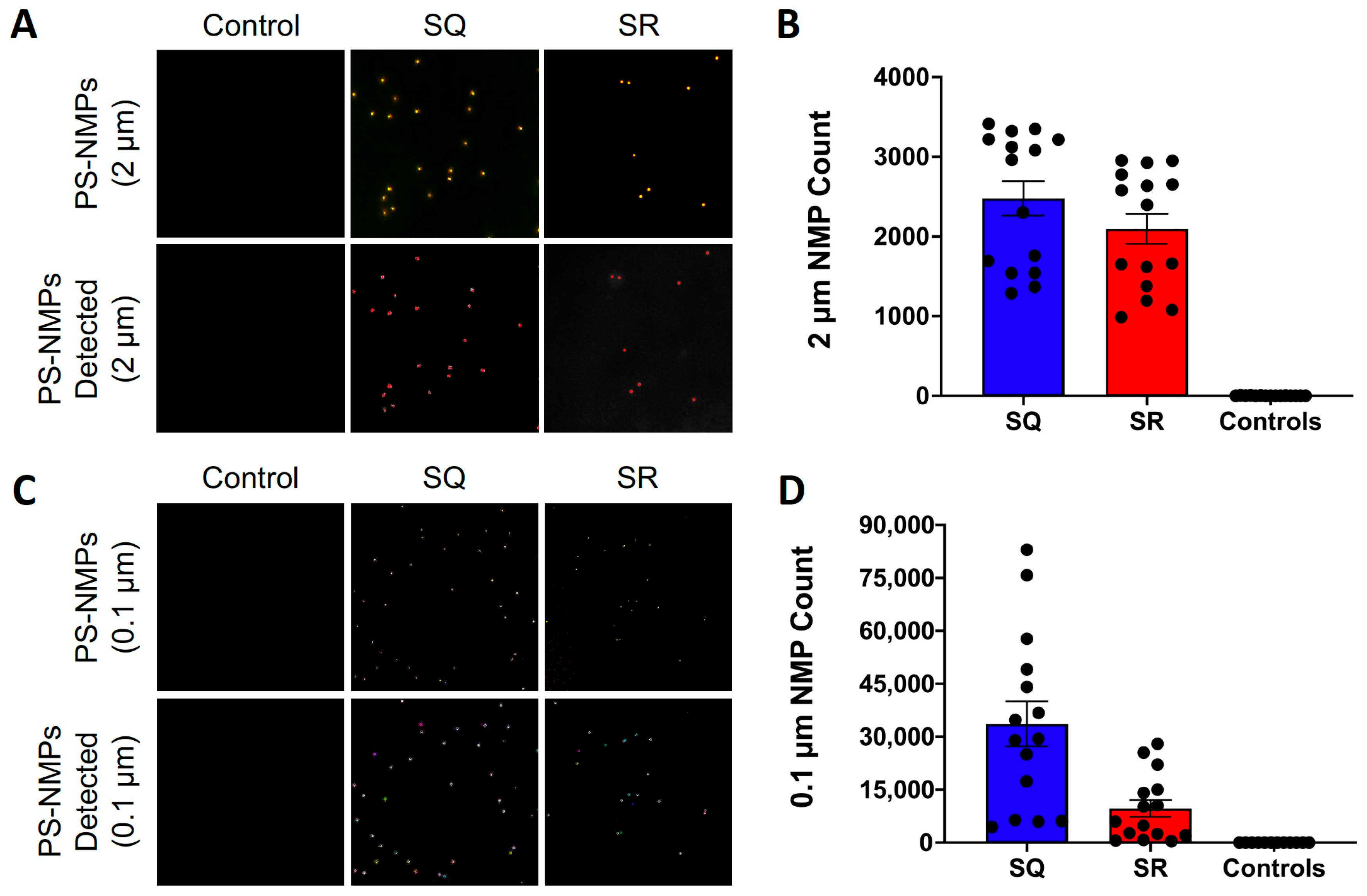Nanomaterials 15 00812 g002