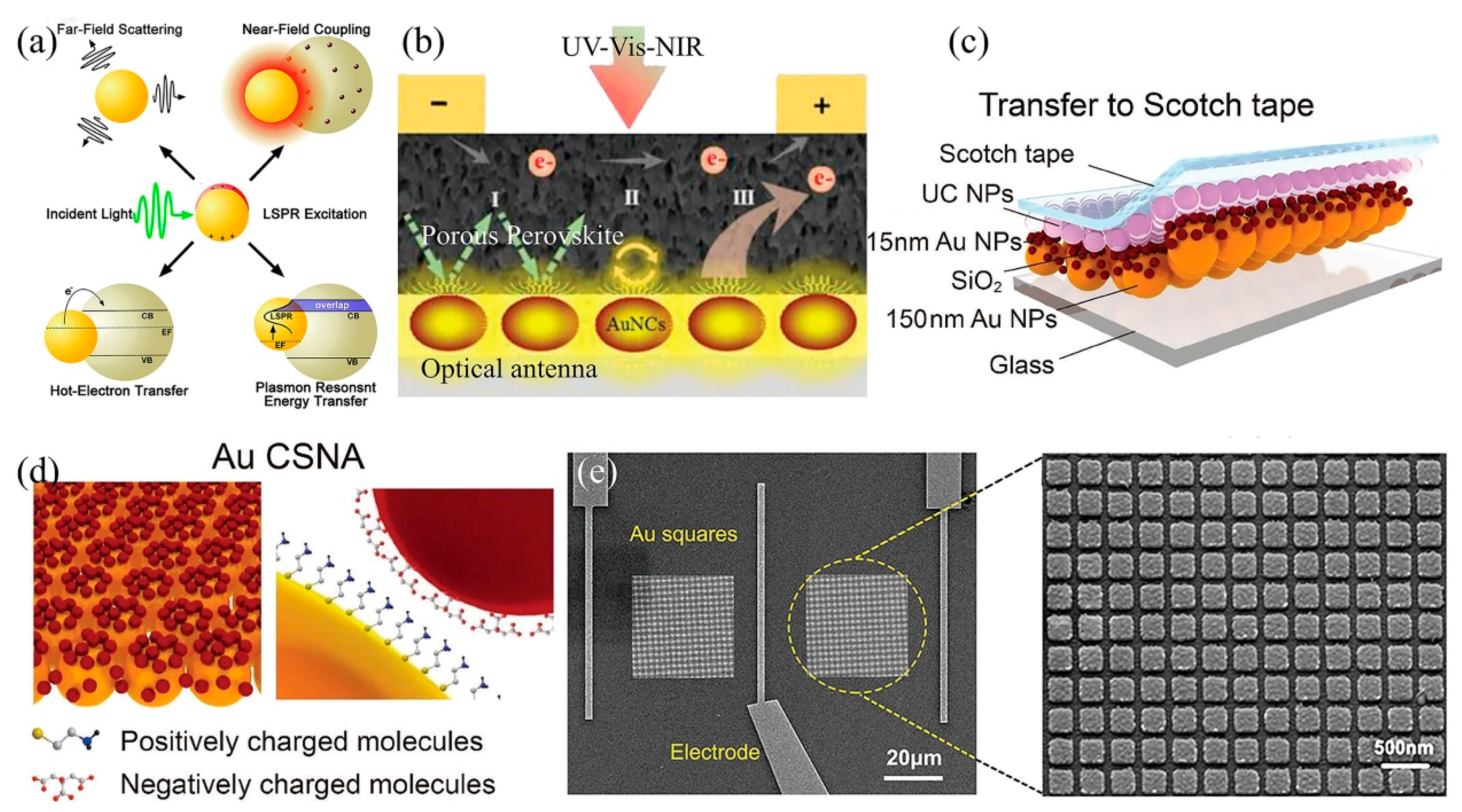 Nanomaterials 15 00816 g003
