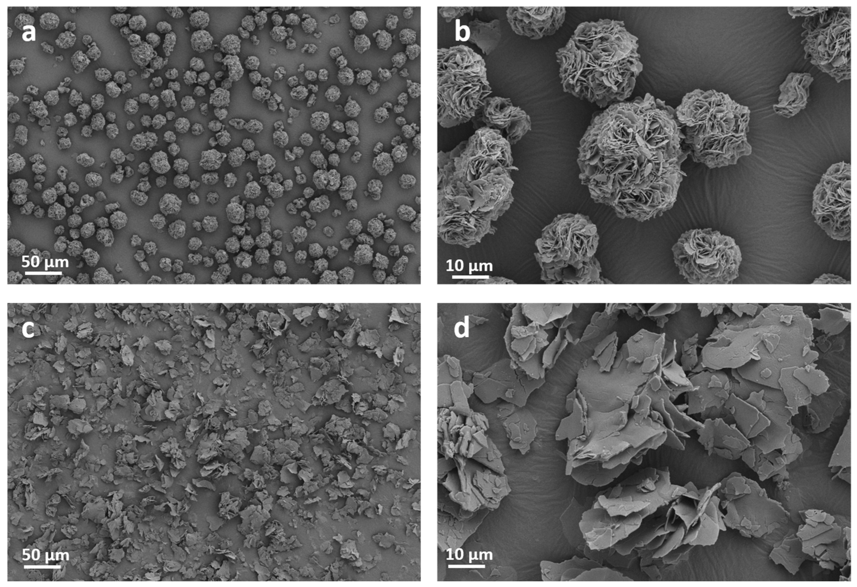 Nanomaterials 15 00818 g003