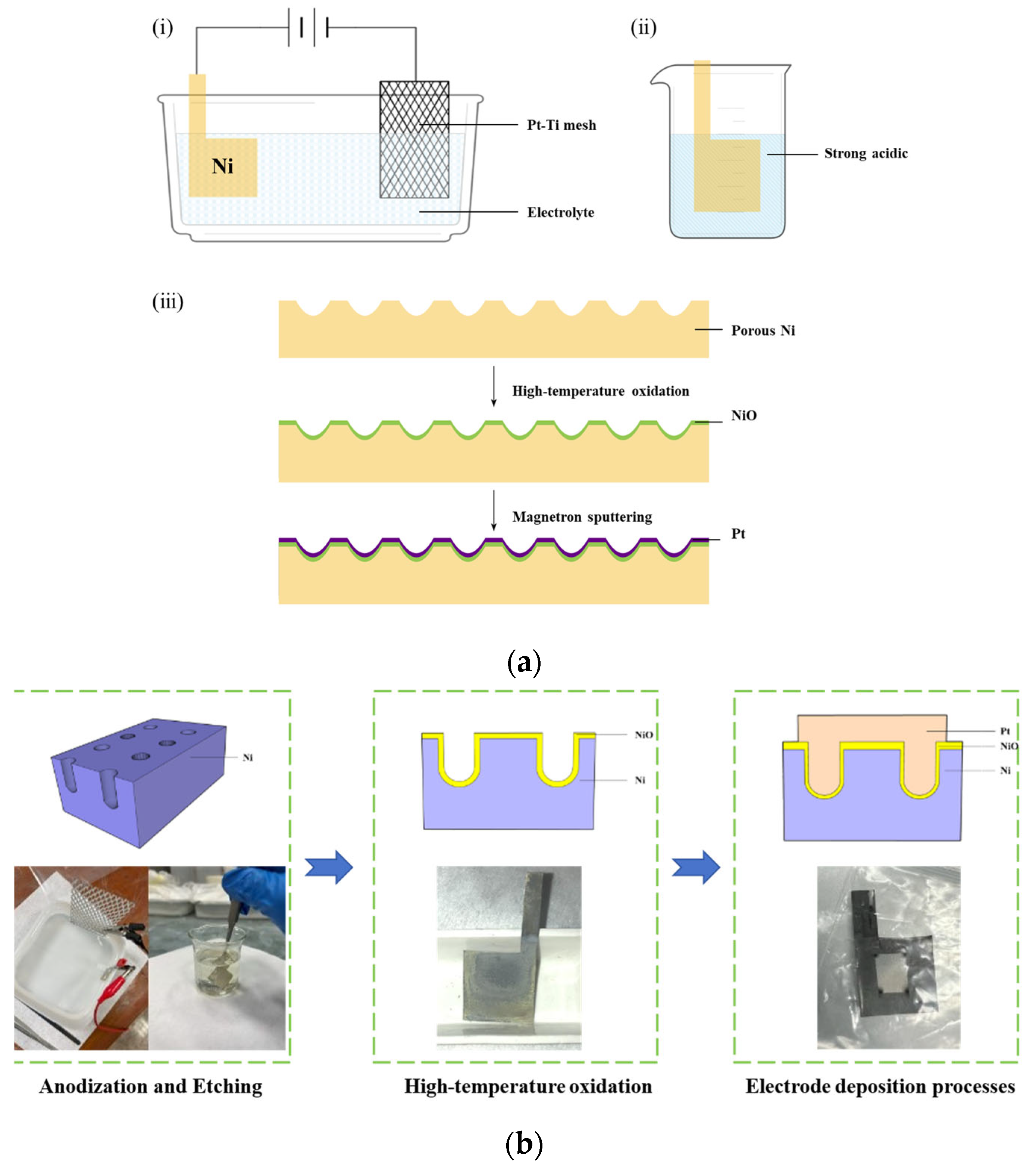 Nanomaterials 15 00819 g001