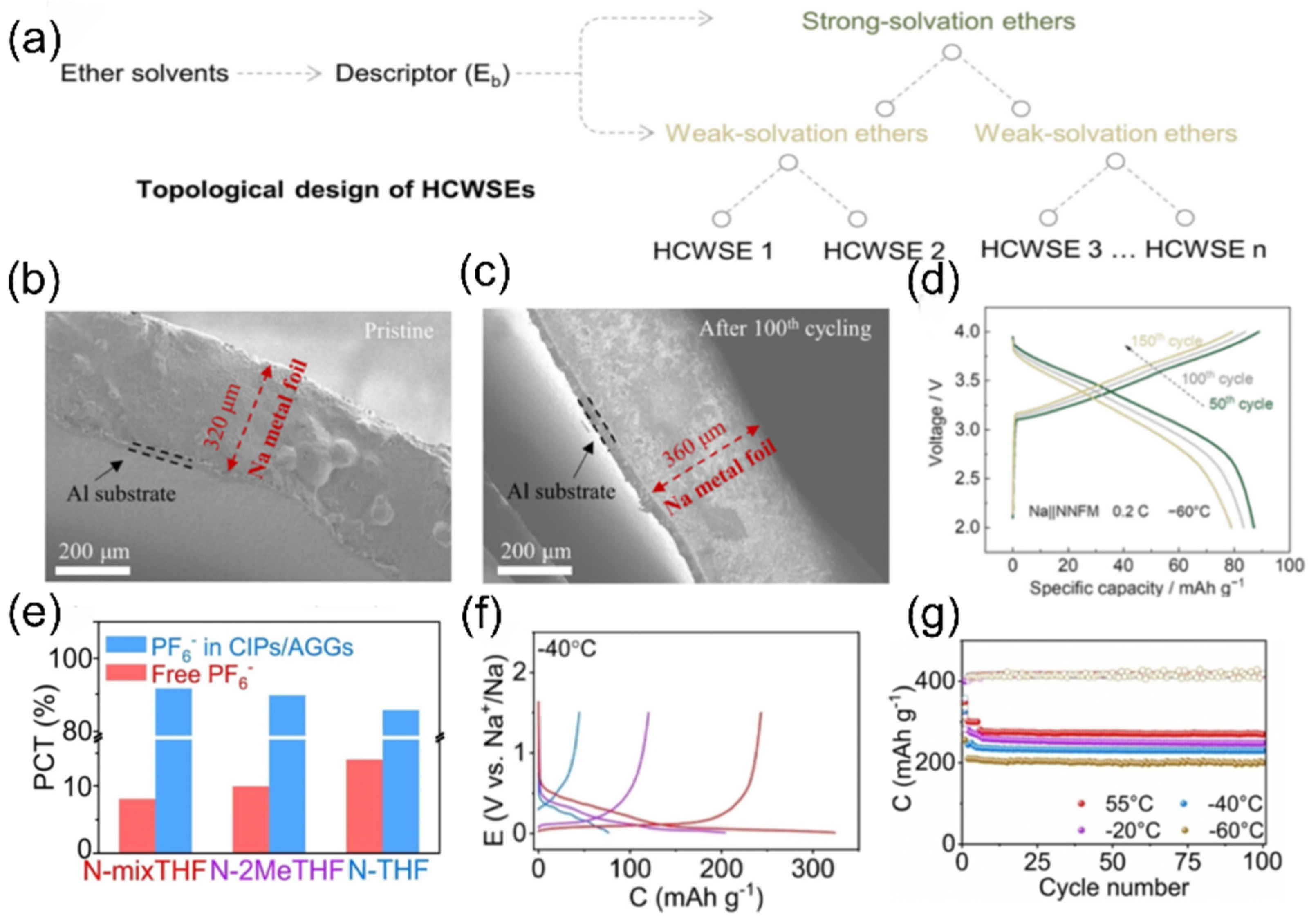 Nanomaterials 15 00820 g017