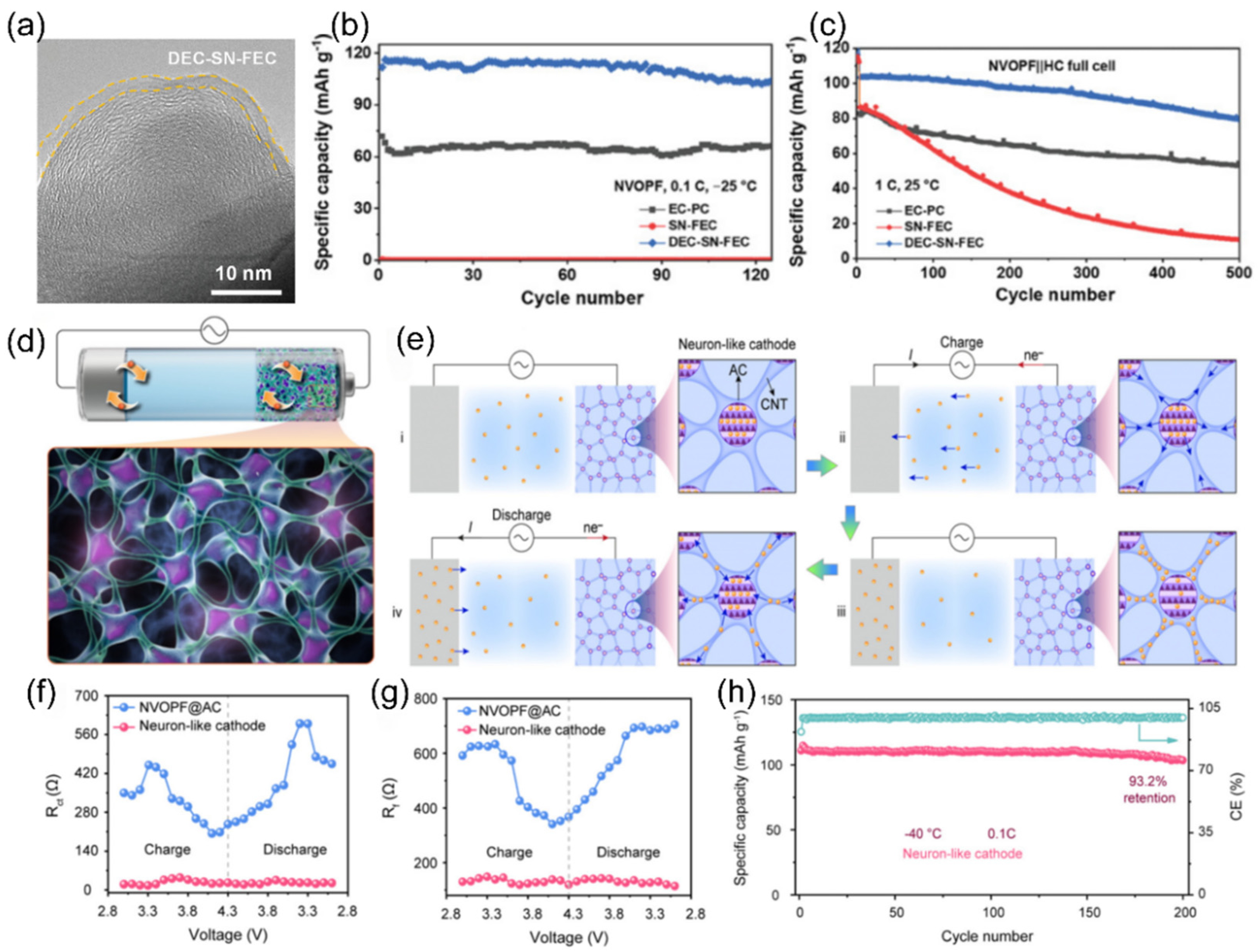 Nanomaterials 15 00820 g031