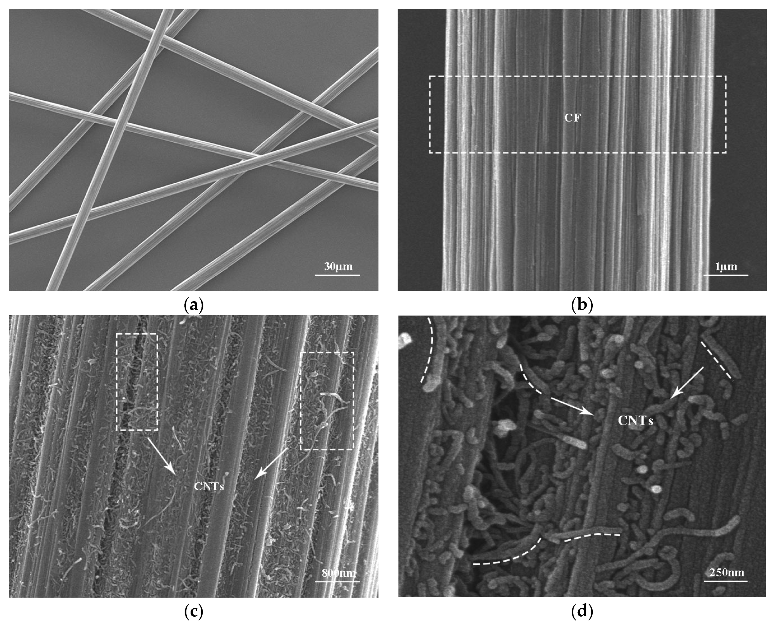 Nanomaterials 15 00823 g003