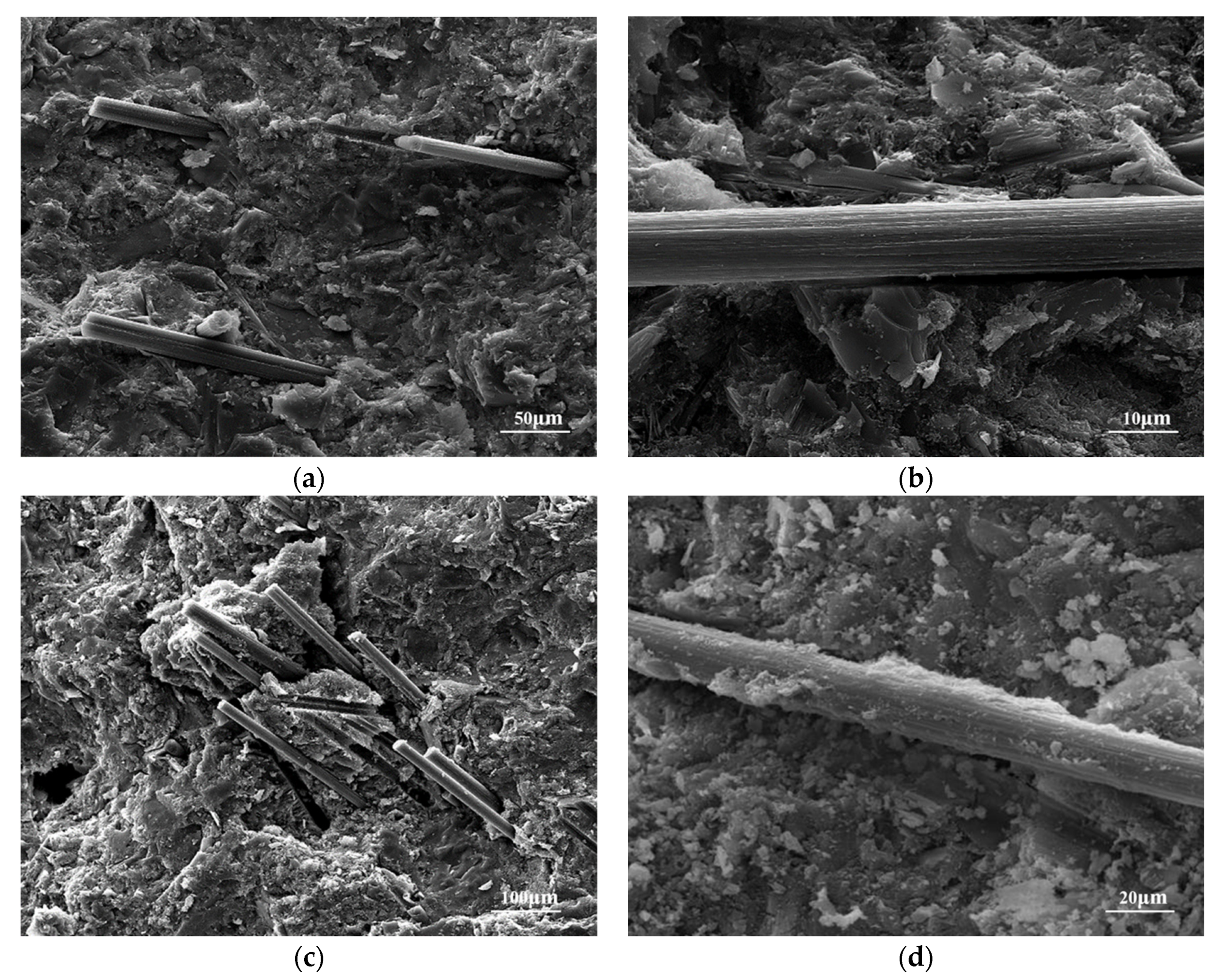 Nanomaterials 15 00823 g006