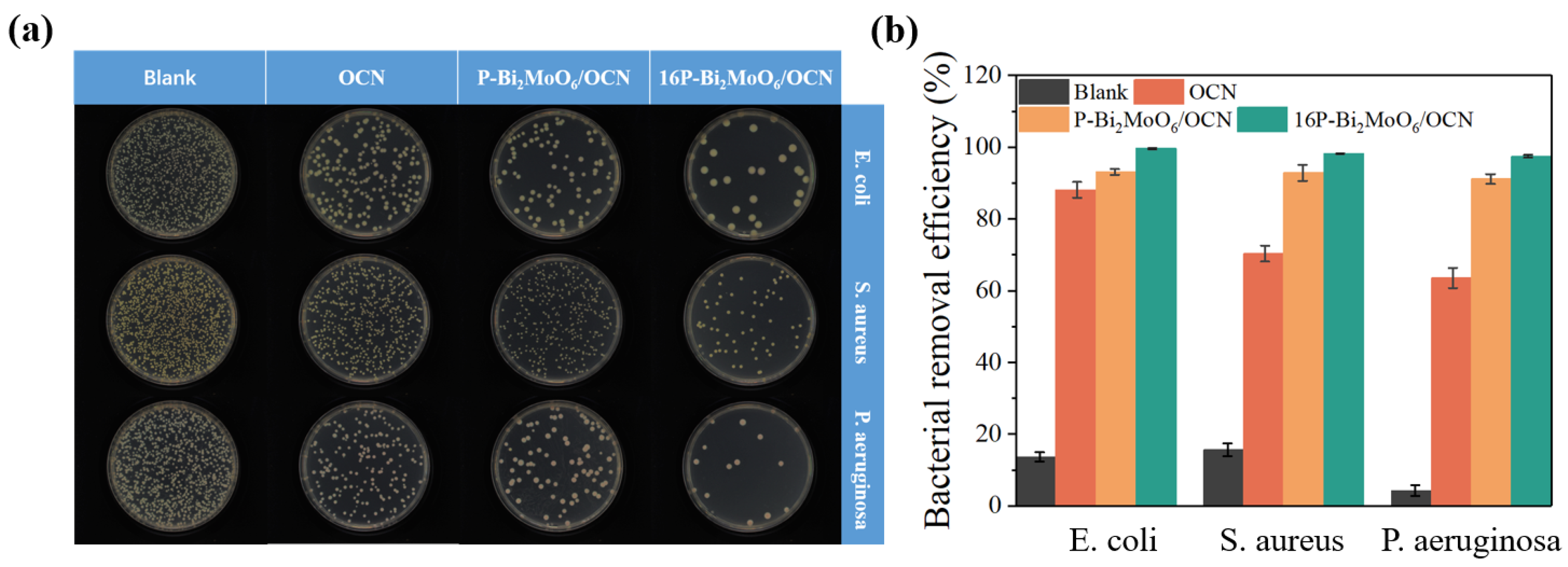Nanomaterials 15 00834 g009