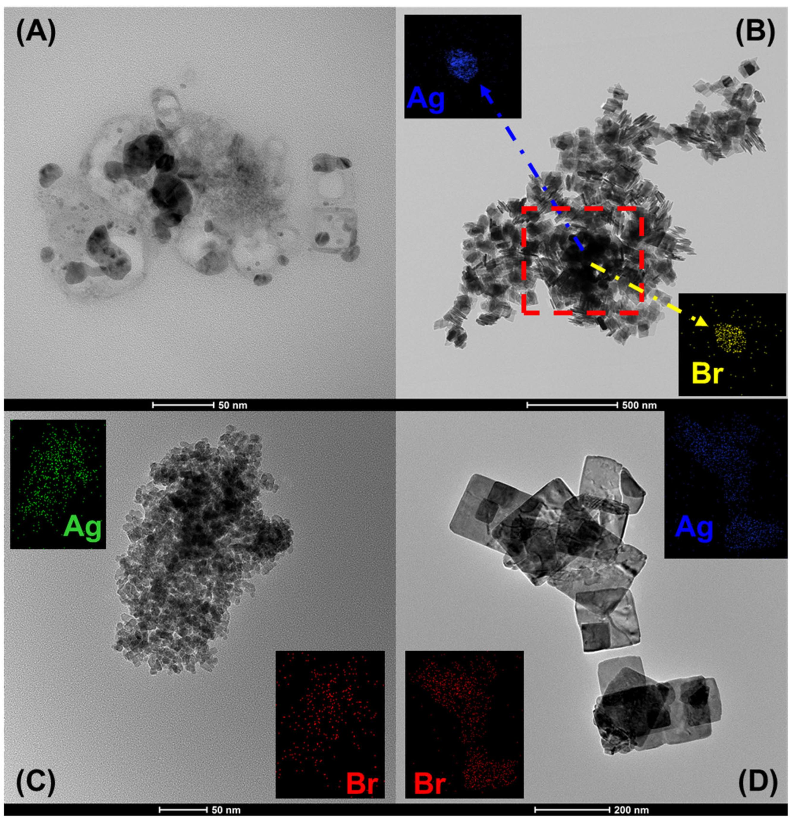 Nanomaterials 15 00848 g005
