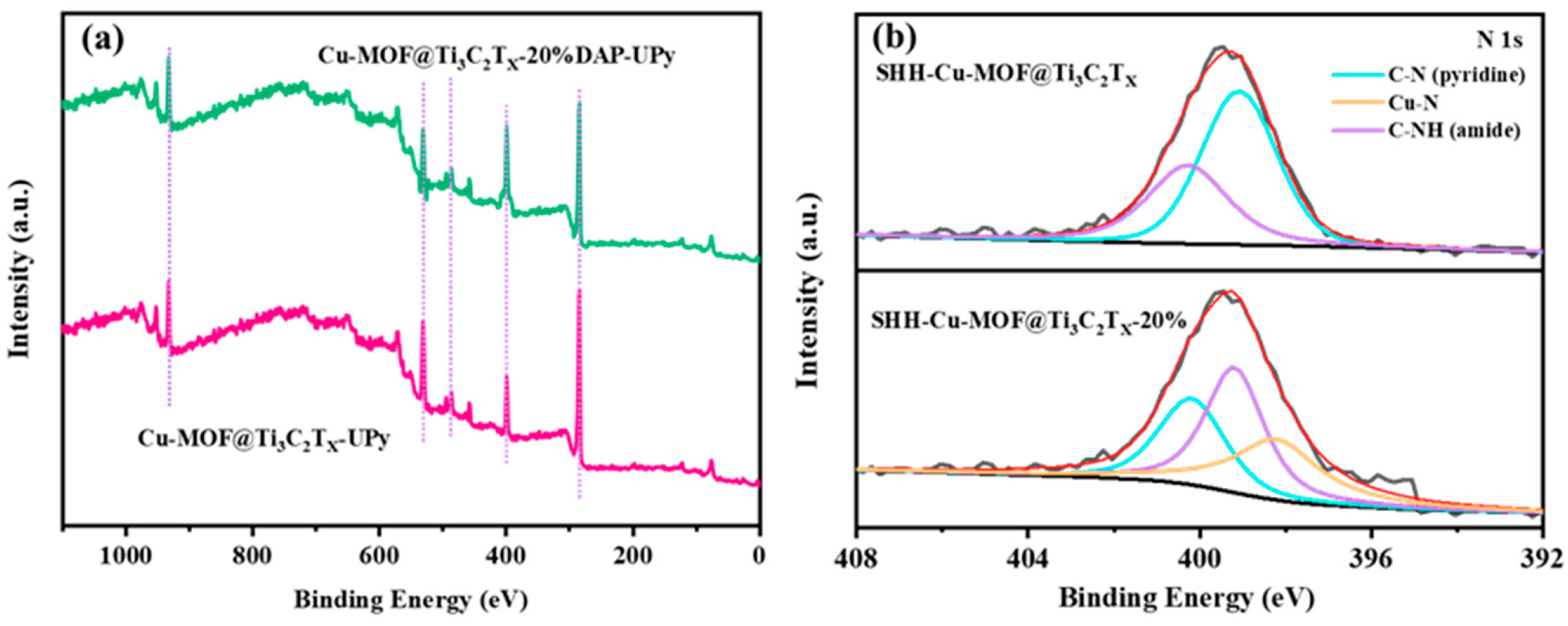 Nanomaterials 15 00864 g004