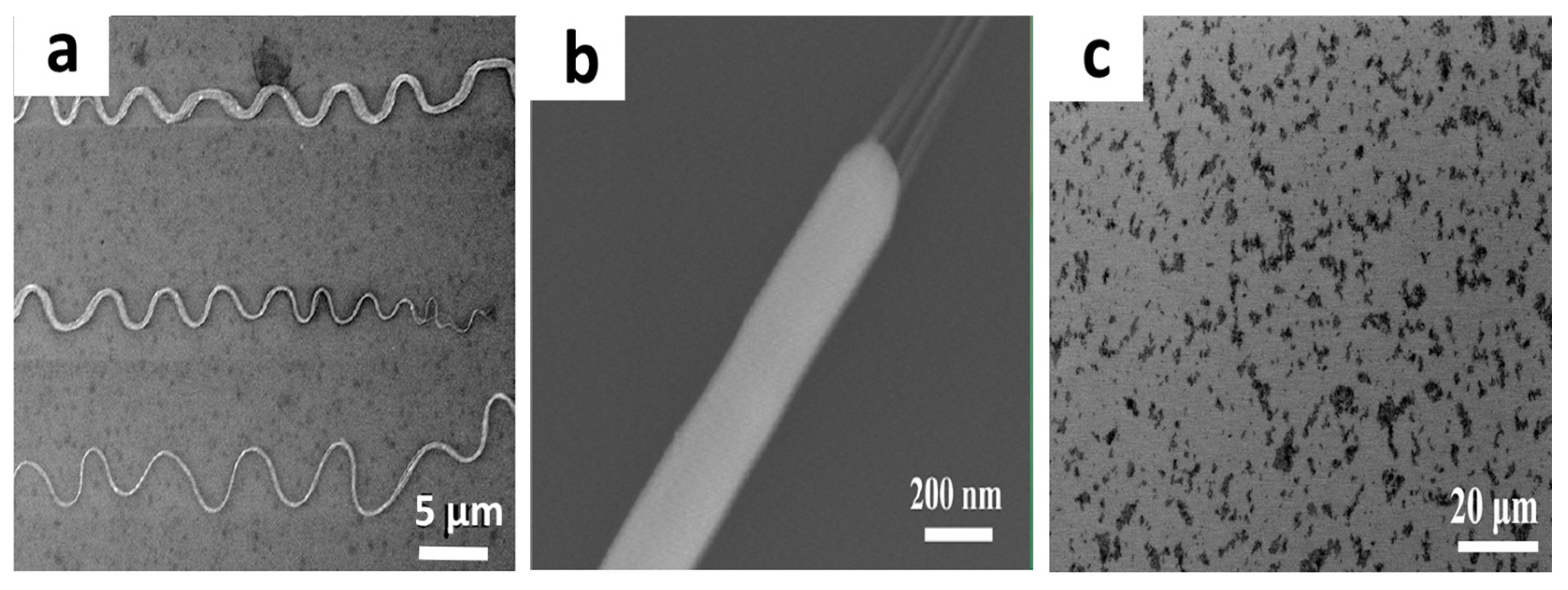 Nanomaterials 15 00868 g003