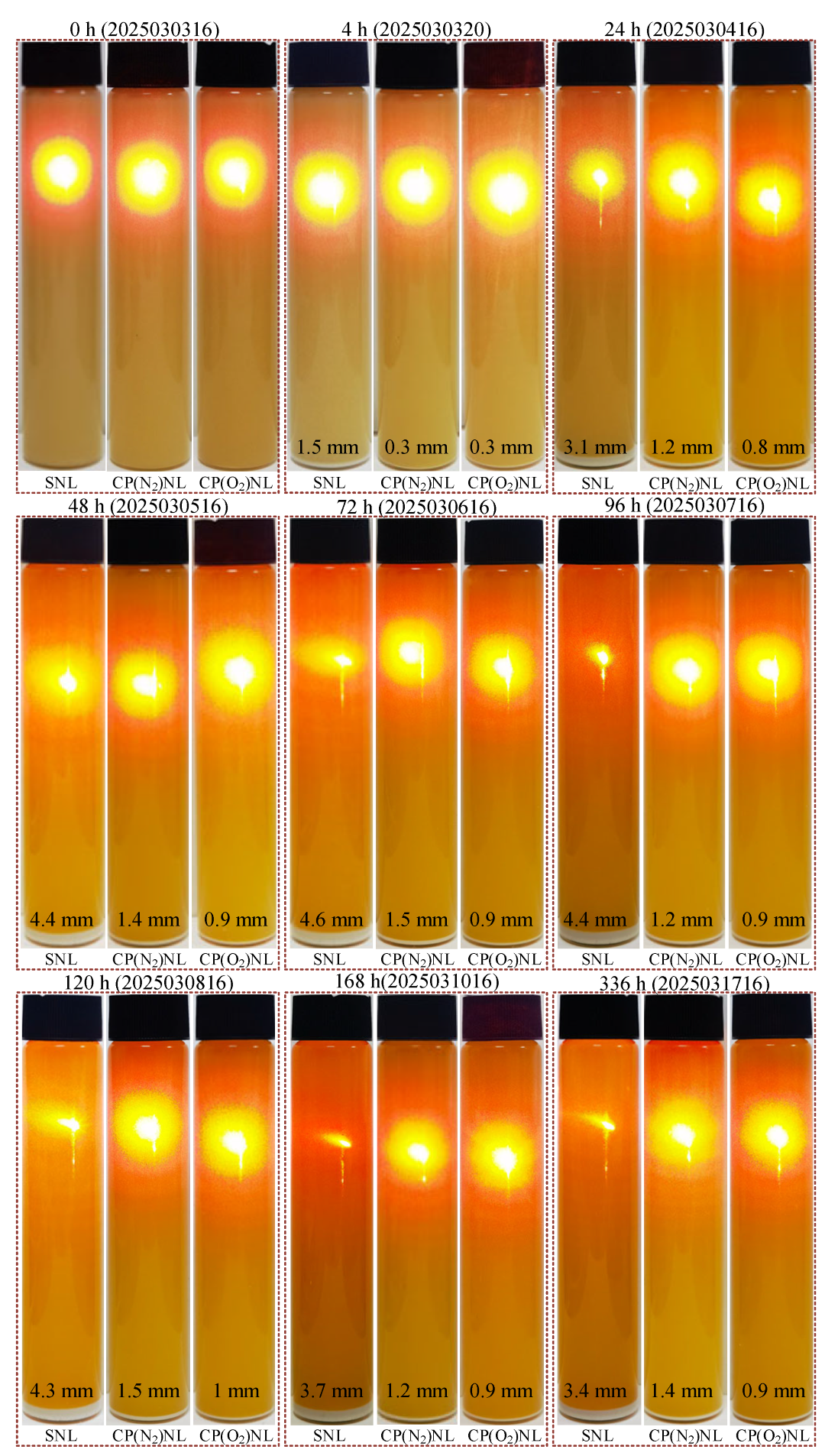 Nanomaterials 15 00874 g007