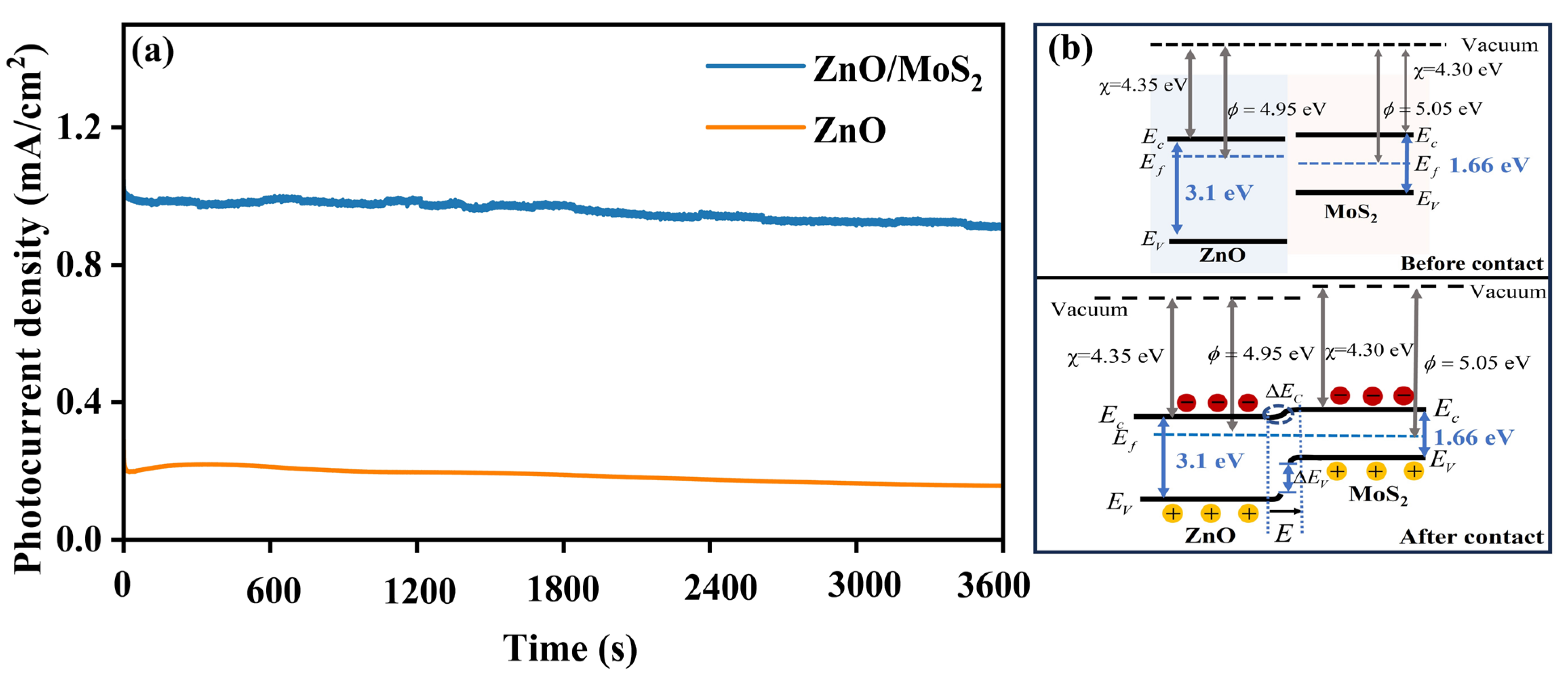 Nanomaterials 15 00875 g006