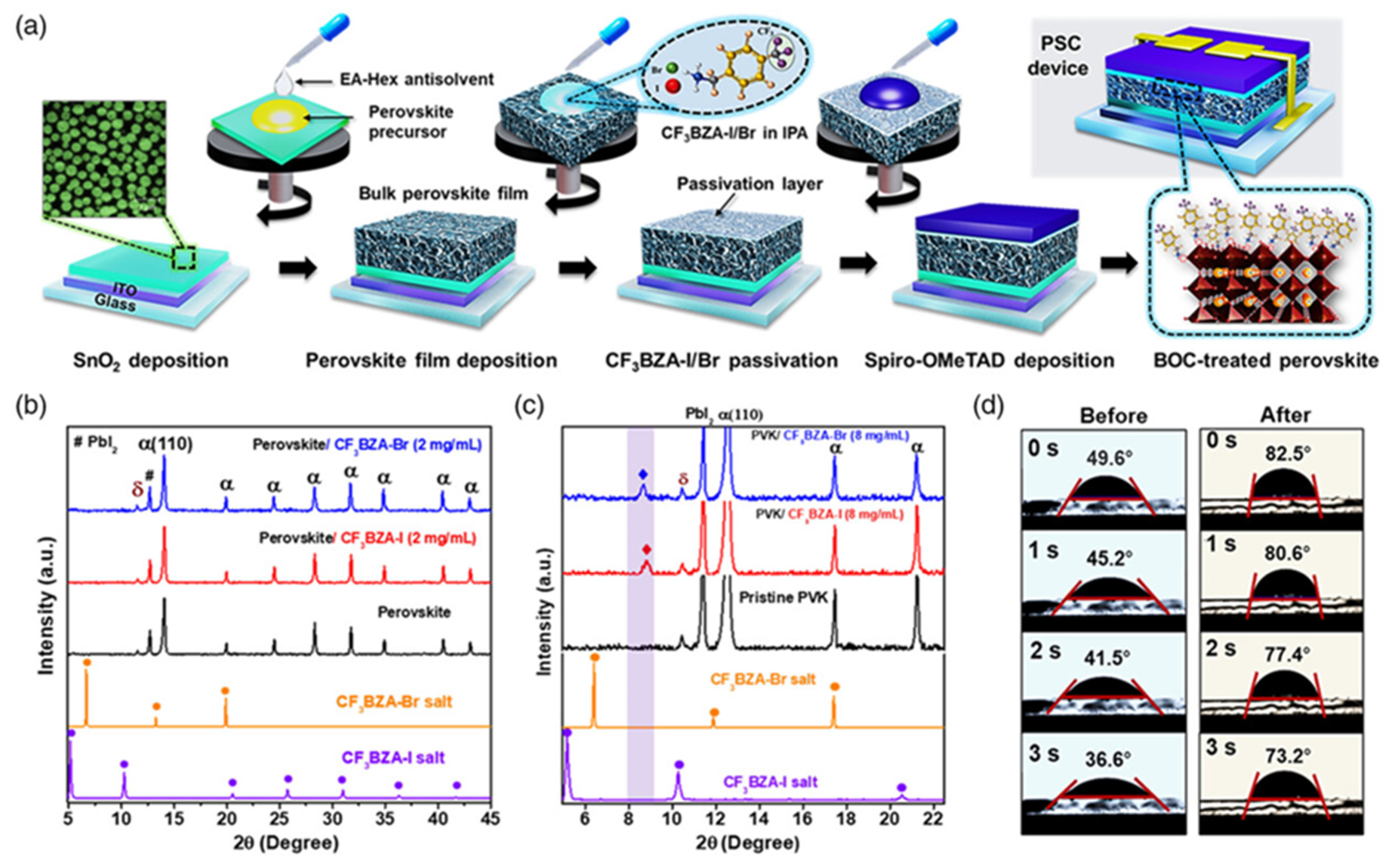 Nanomaterials 15 00876 g004