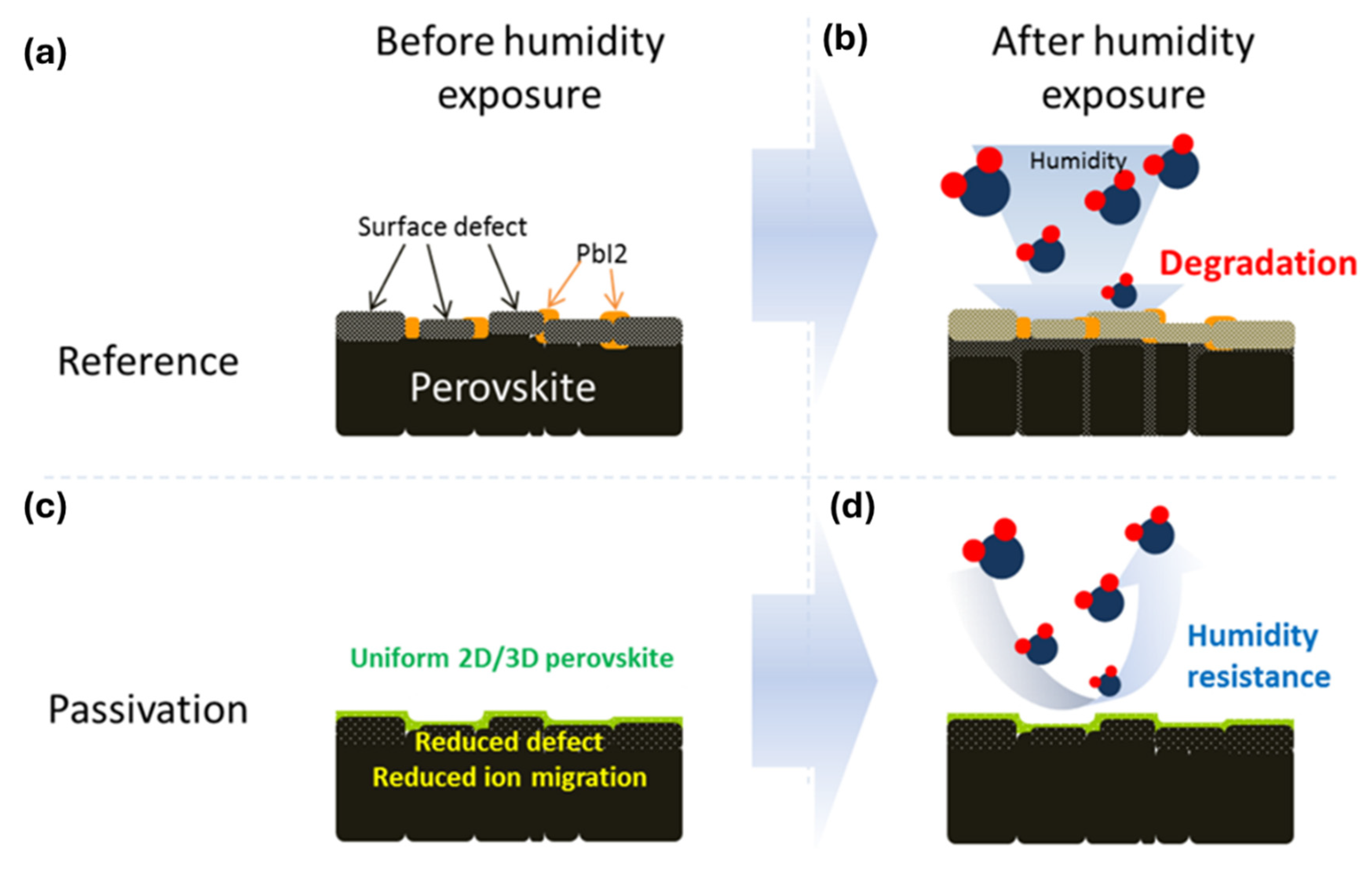 Nanomaterials 15 00876 g010