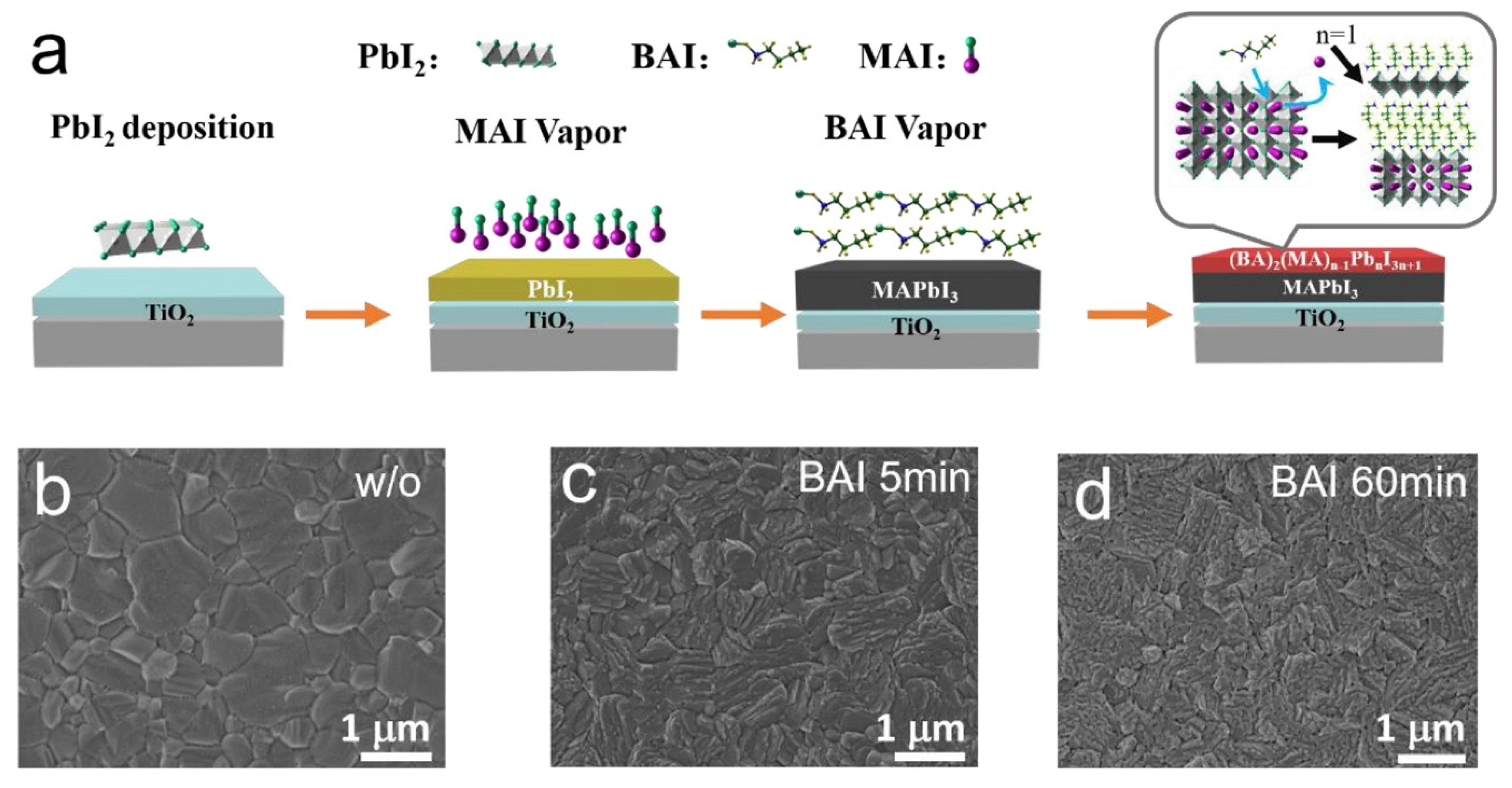 Nanomaterials 15 00876 g013