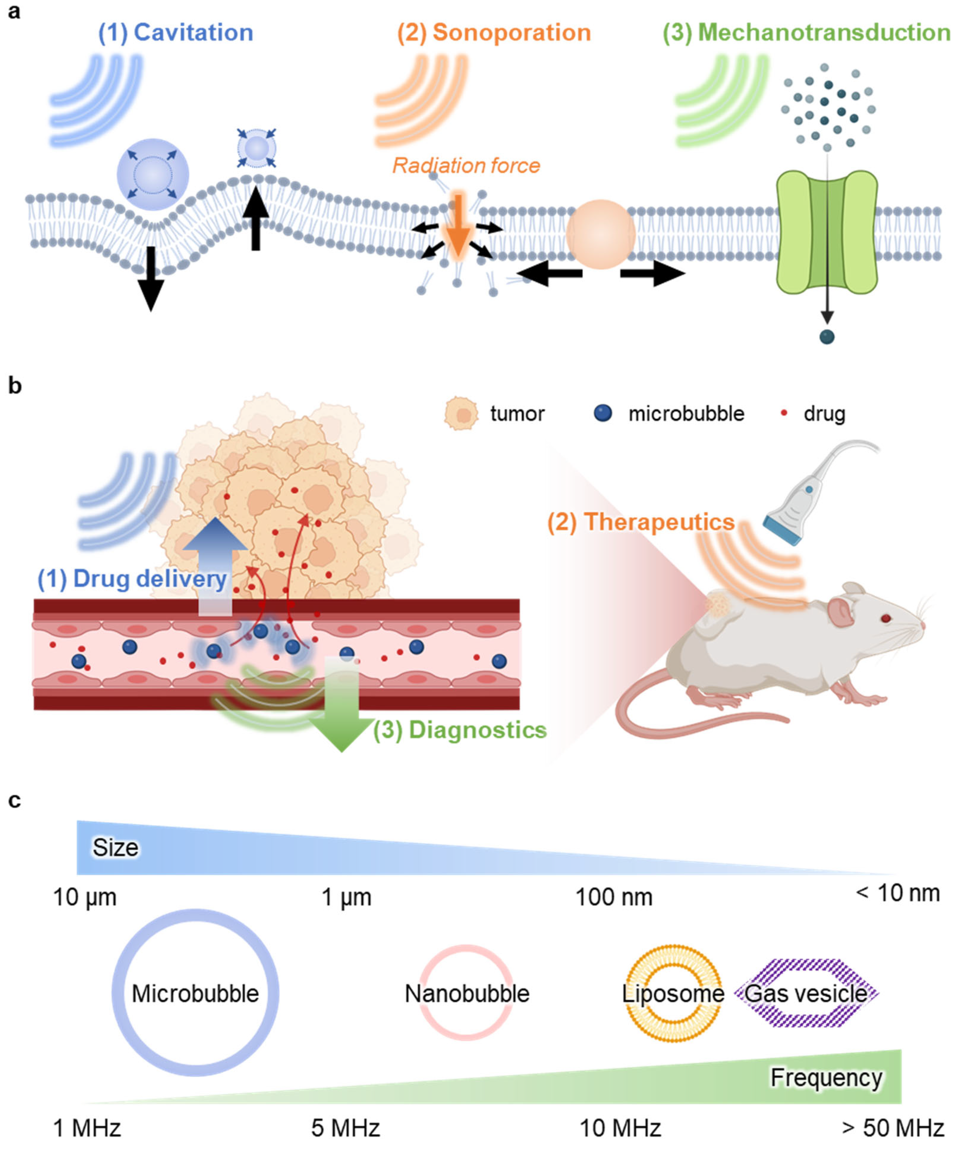 Nanomaterials 15 00884 g001