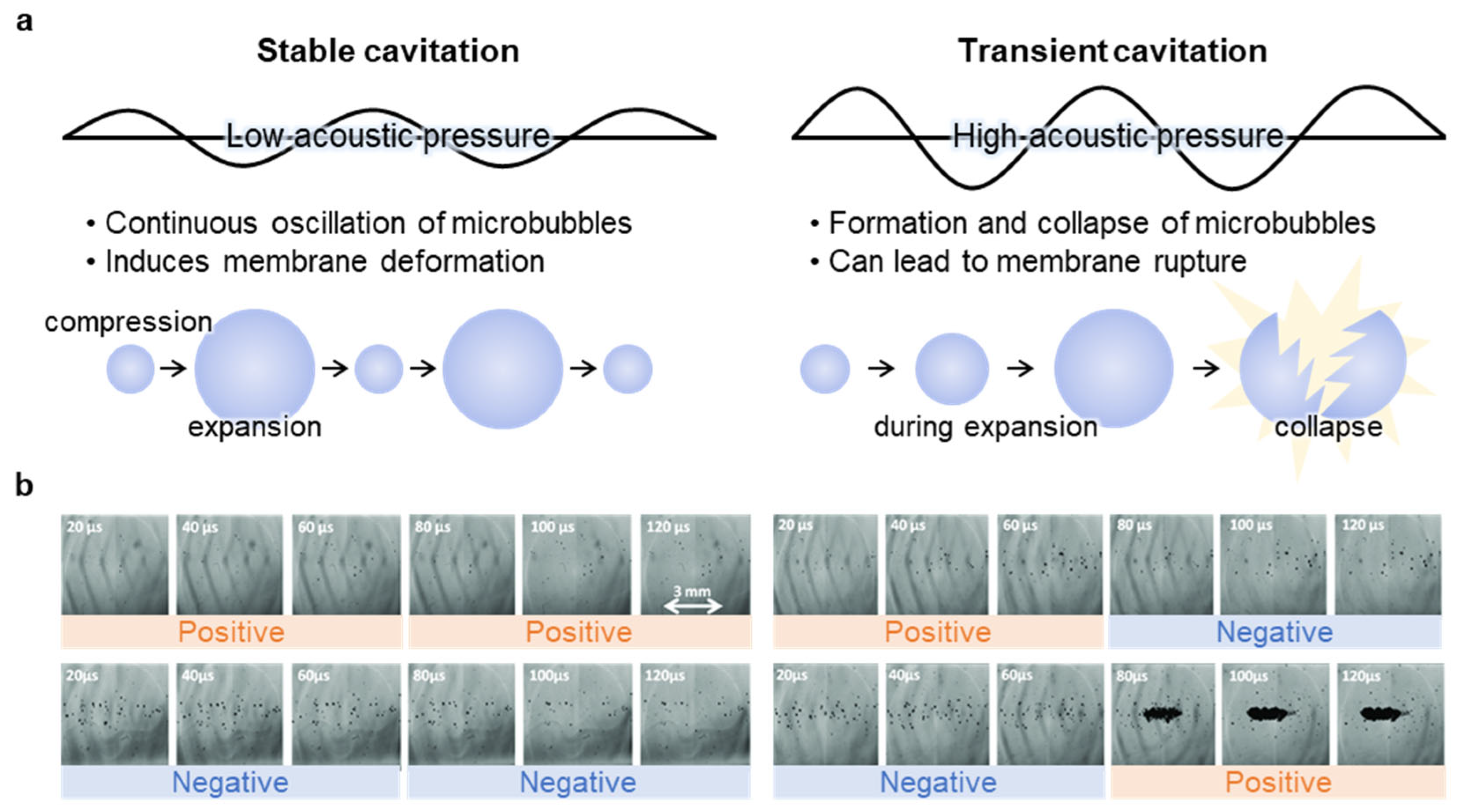 Nanomaterials 15 00884 g002