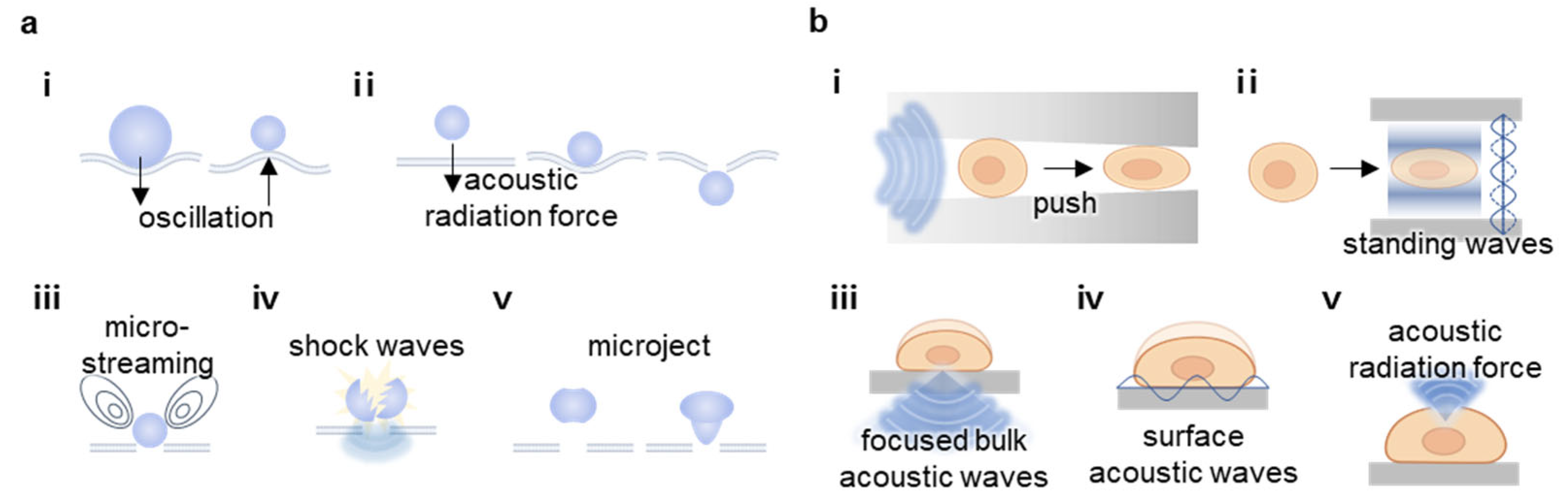 Nanomaterials 15 00884 g003