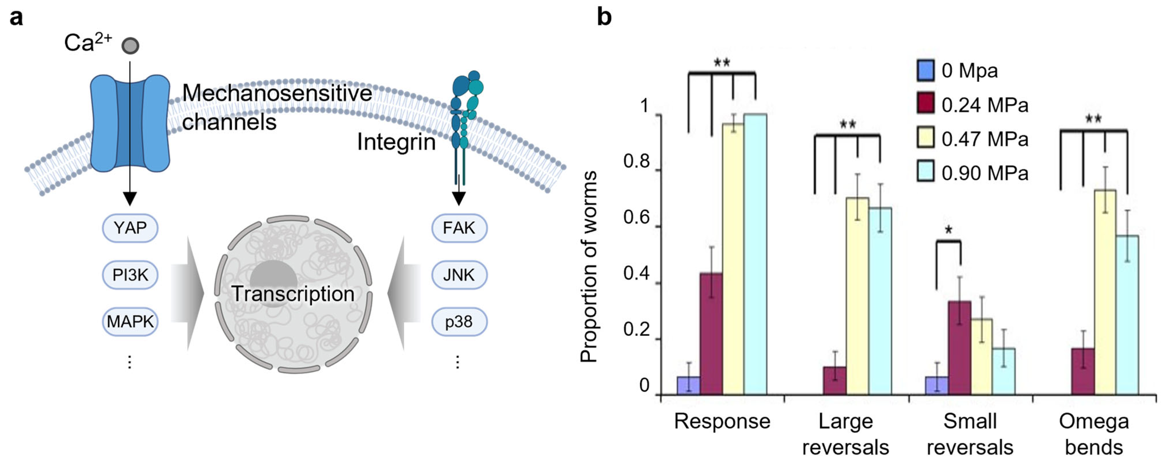 Nanomaterials 15 00884 g004