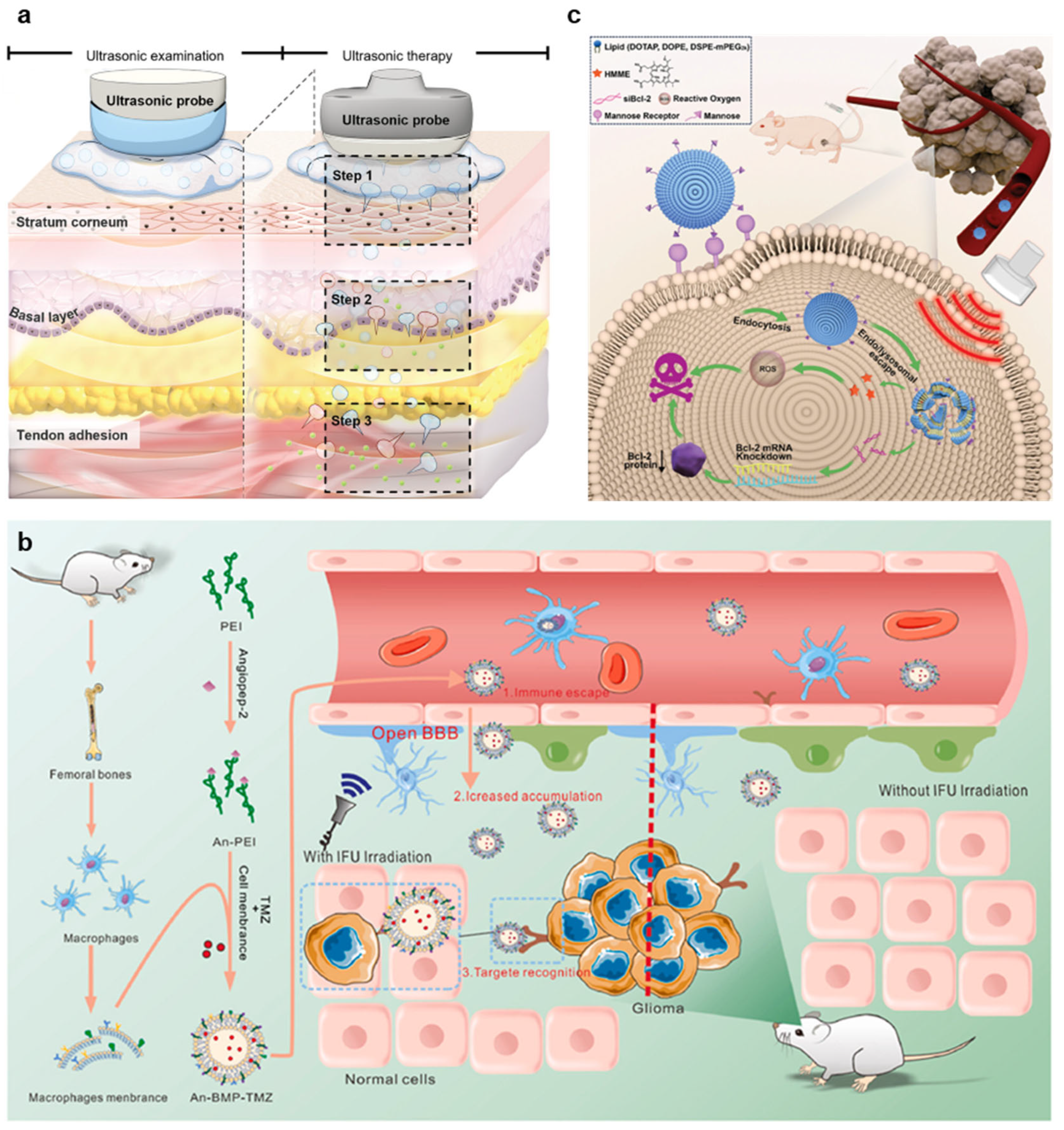 Nanomaterials 15 00884 g005