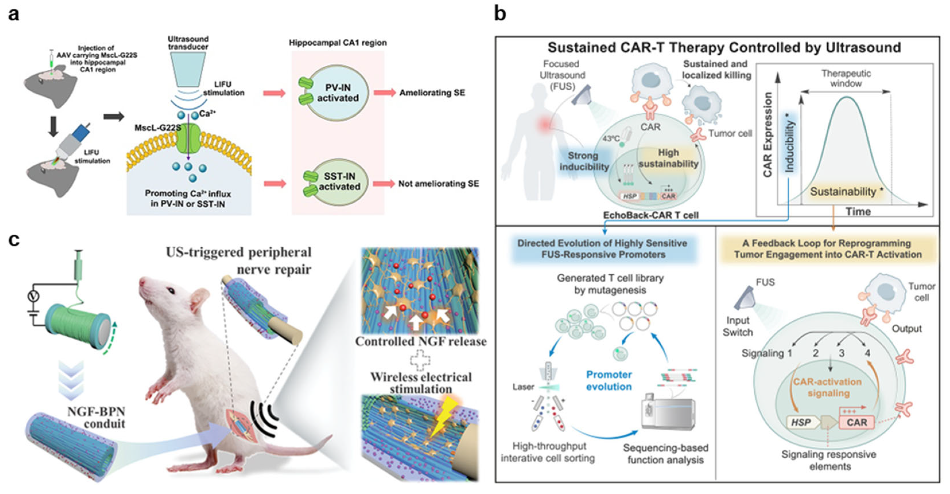Nanomaterials 15 00884 g006