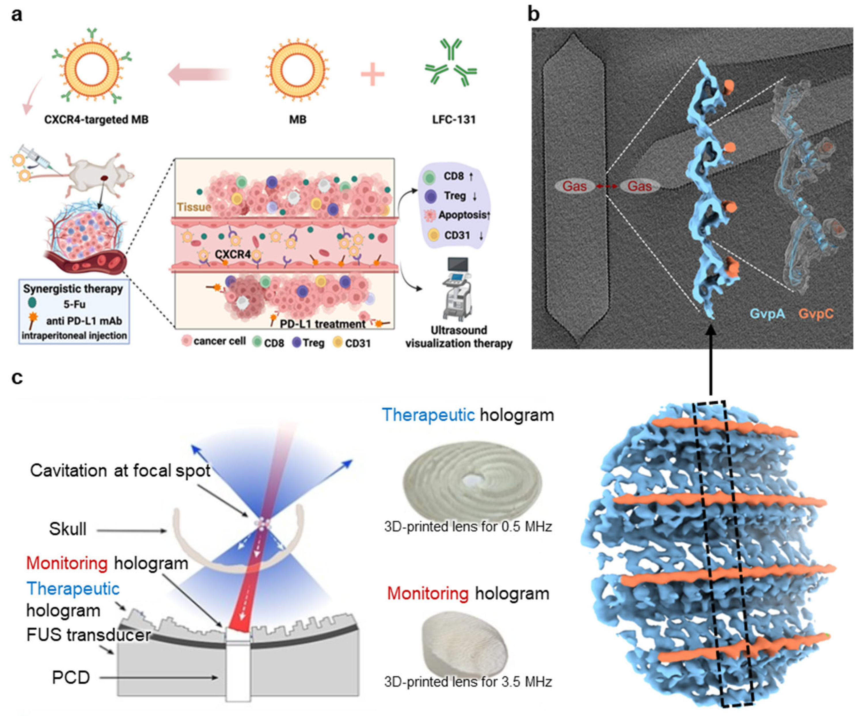 Nanomaterials 15 00884 g007