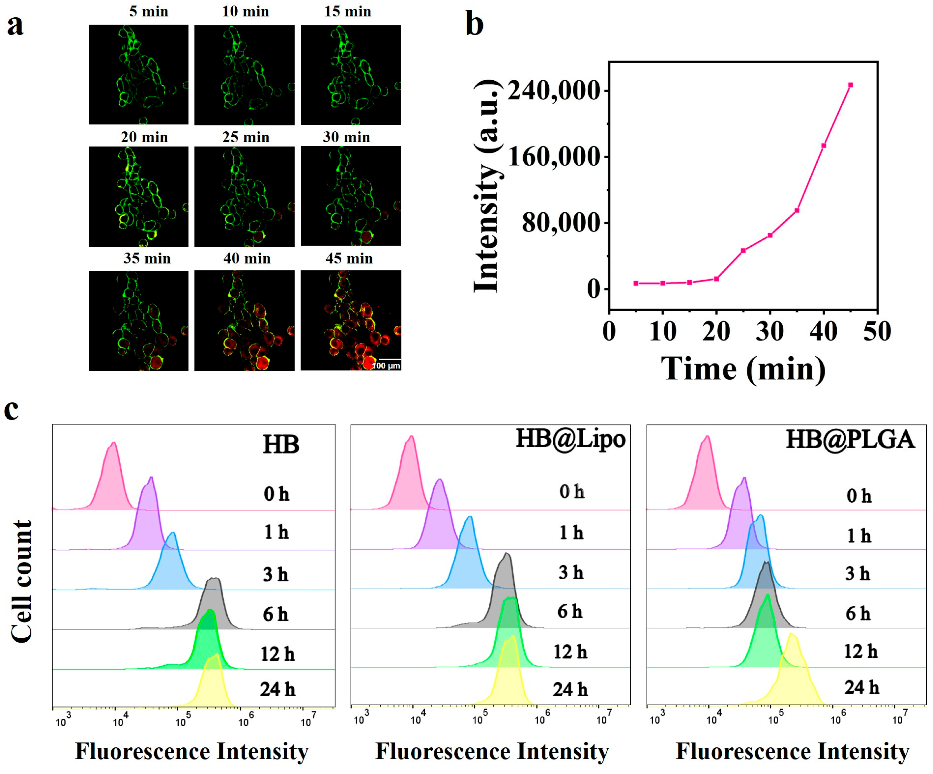 Nanomaterials 15 00889 g003