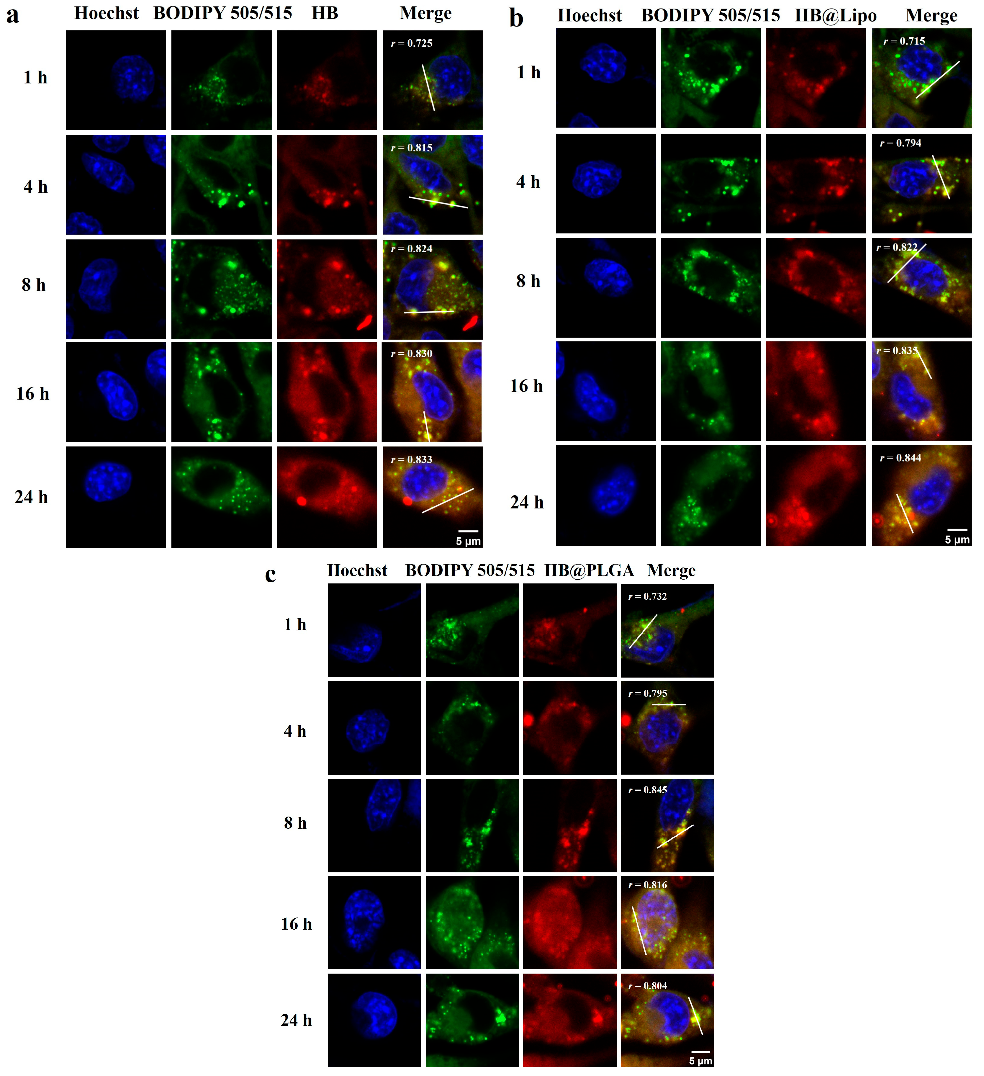 Nanomaterials 15 00889 g004