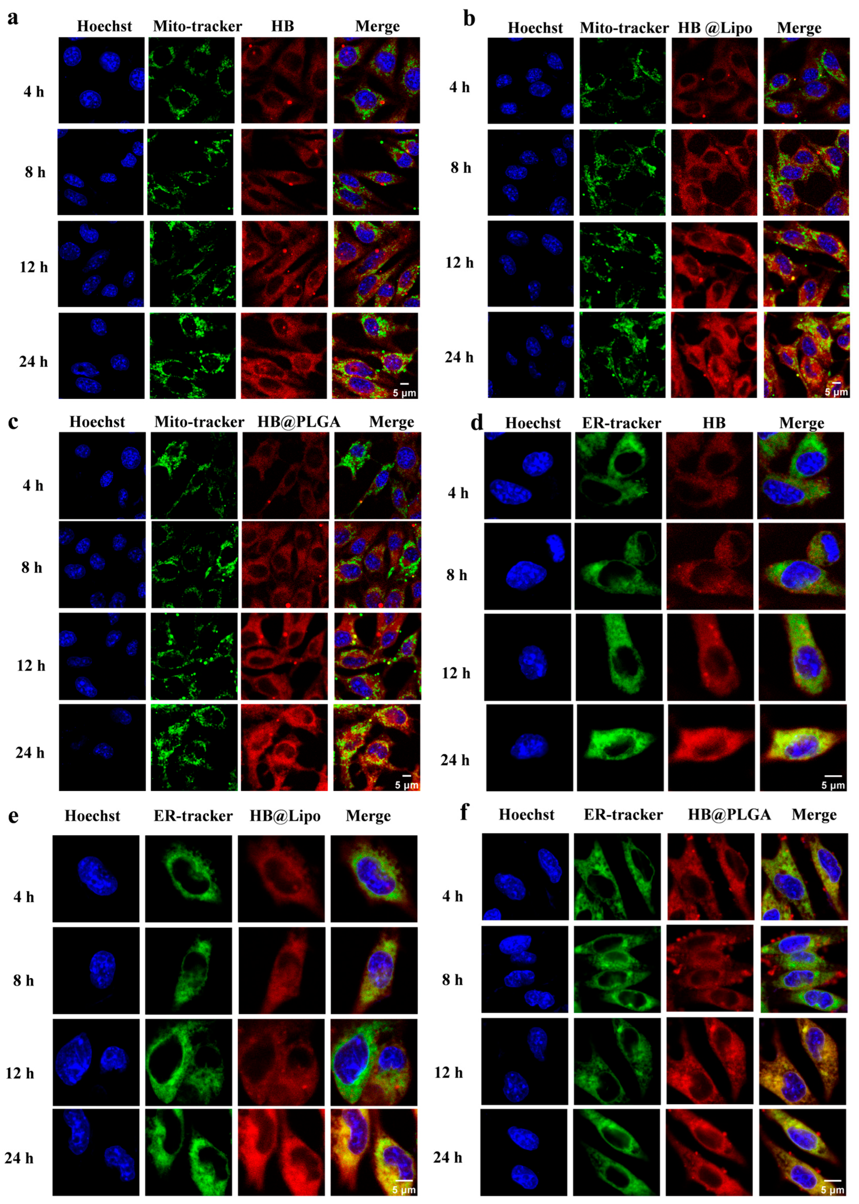 Nanomaterials 15 00889 g005