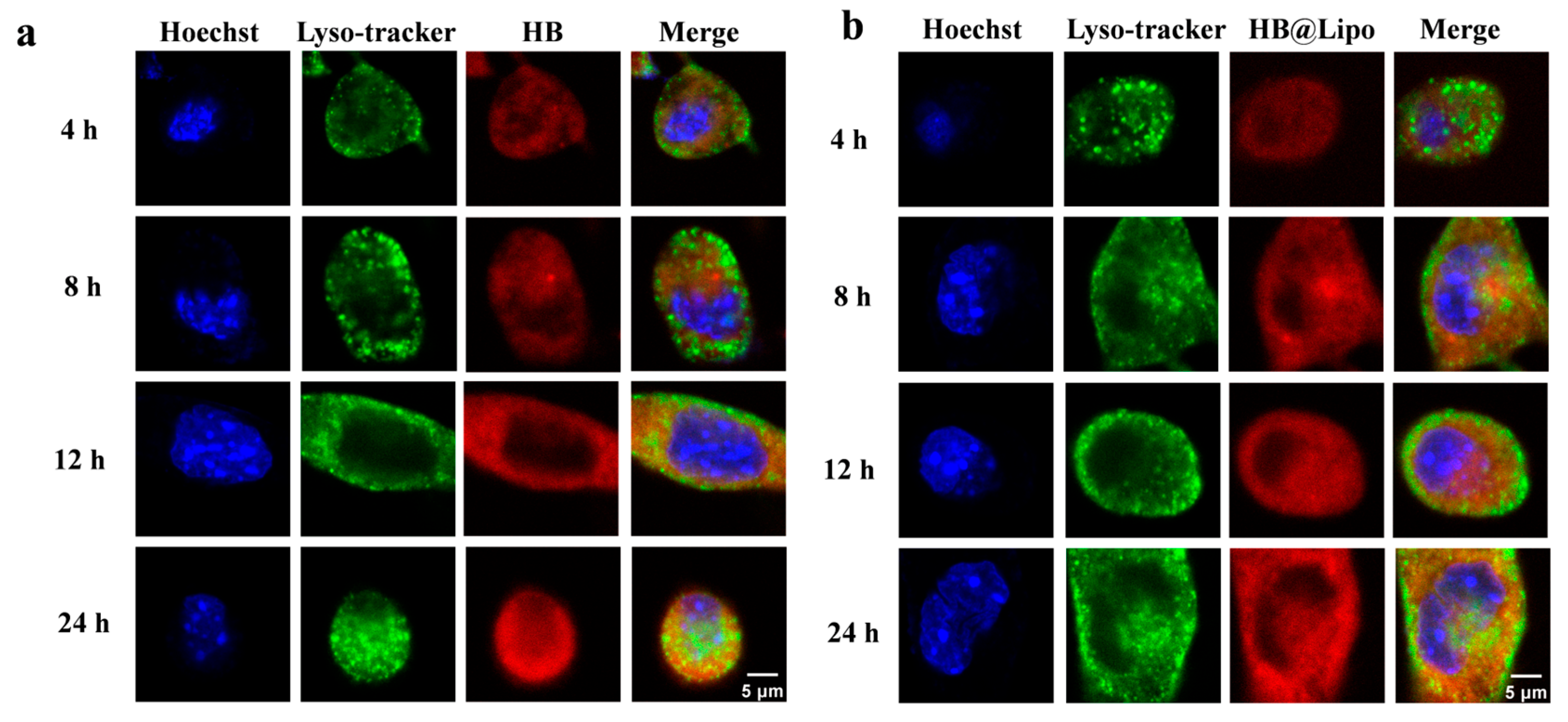 Nanomaterials 15 00889 g006a