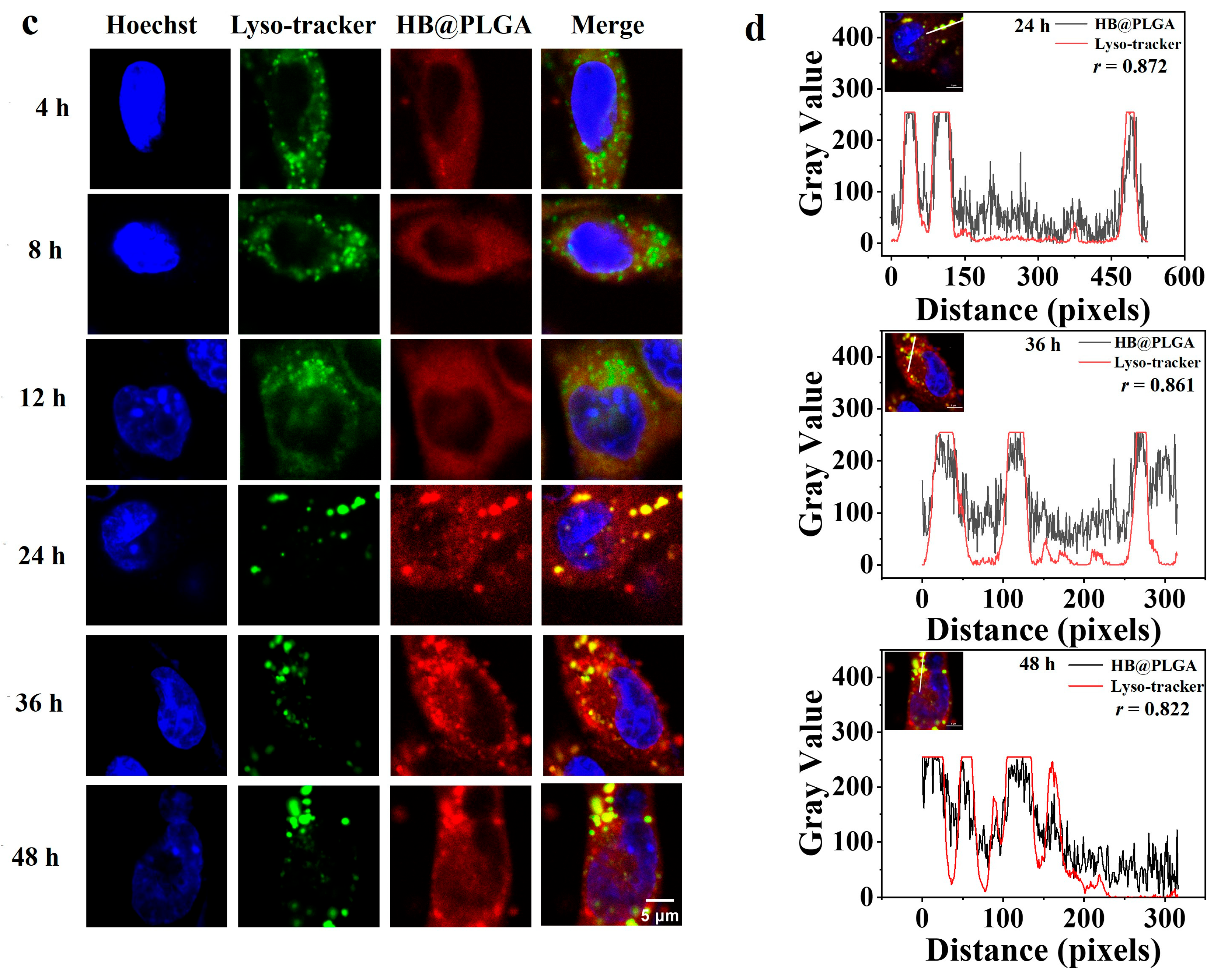 Nanomaterials 15 00889 g006b