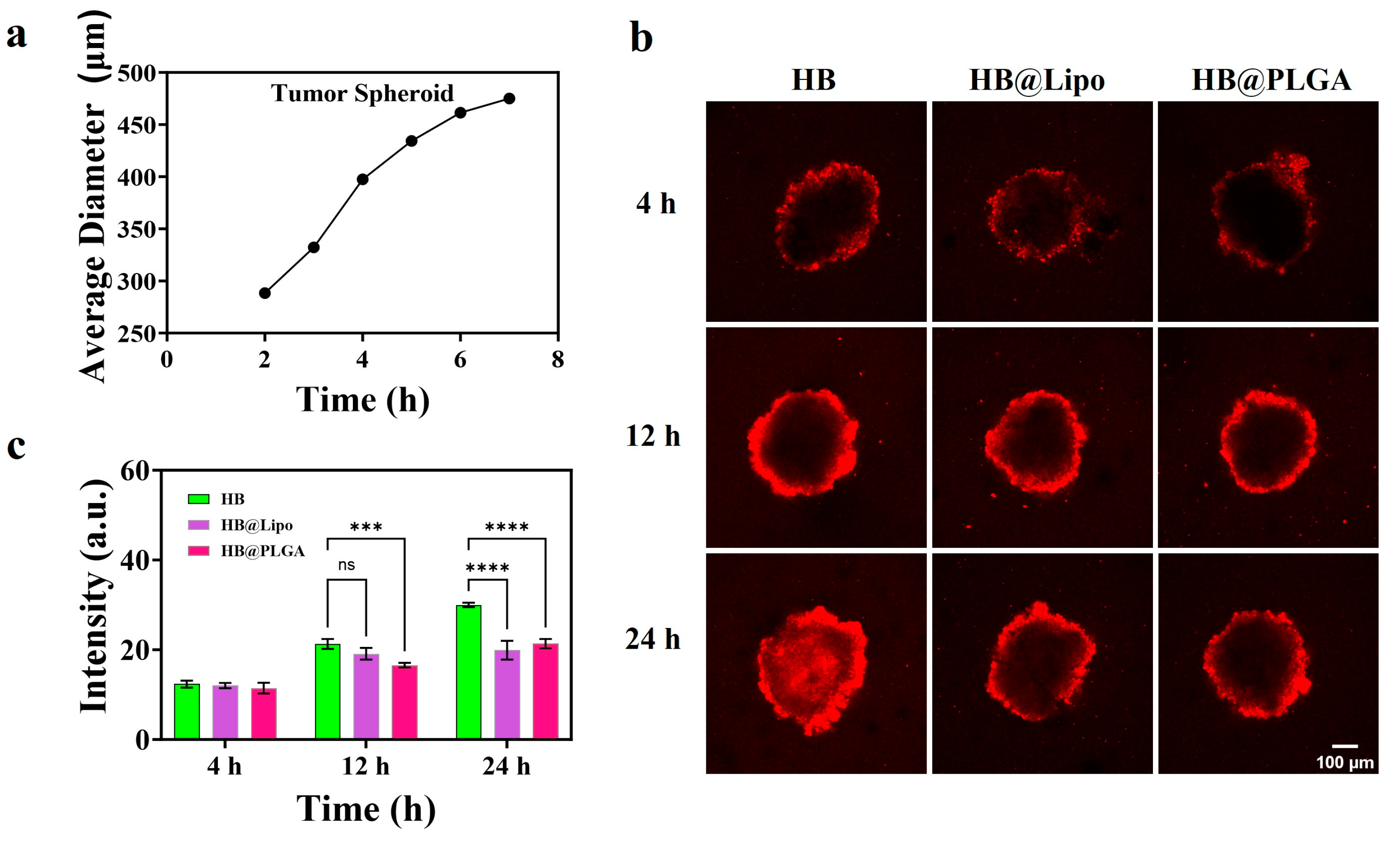 Nanomaterials 15 00889 g007