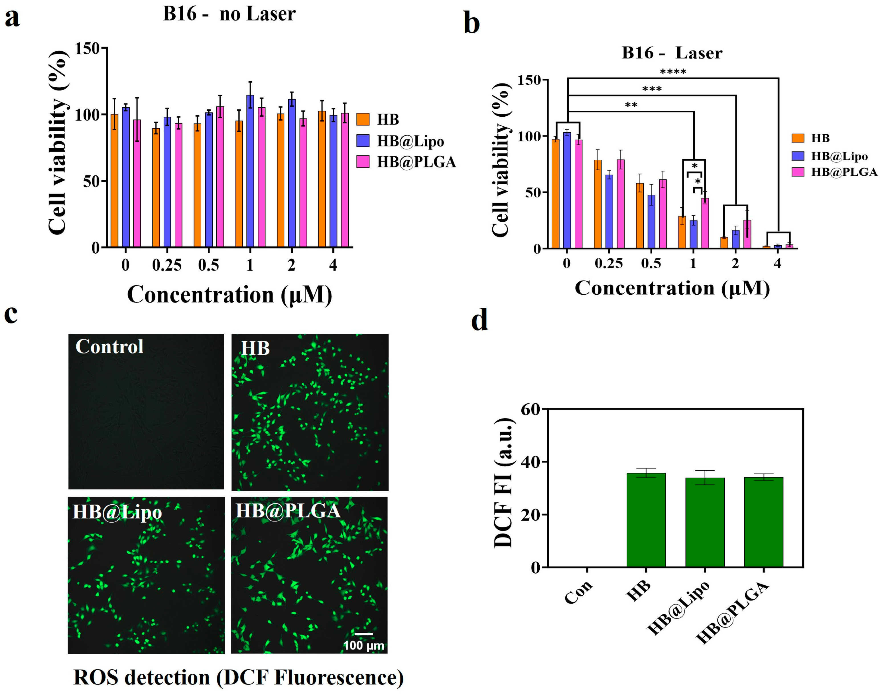 Nanomaterials 15 00889 g008