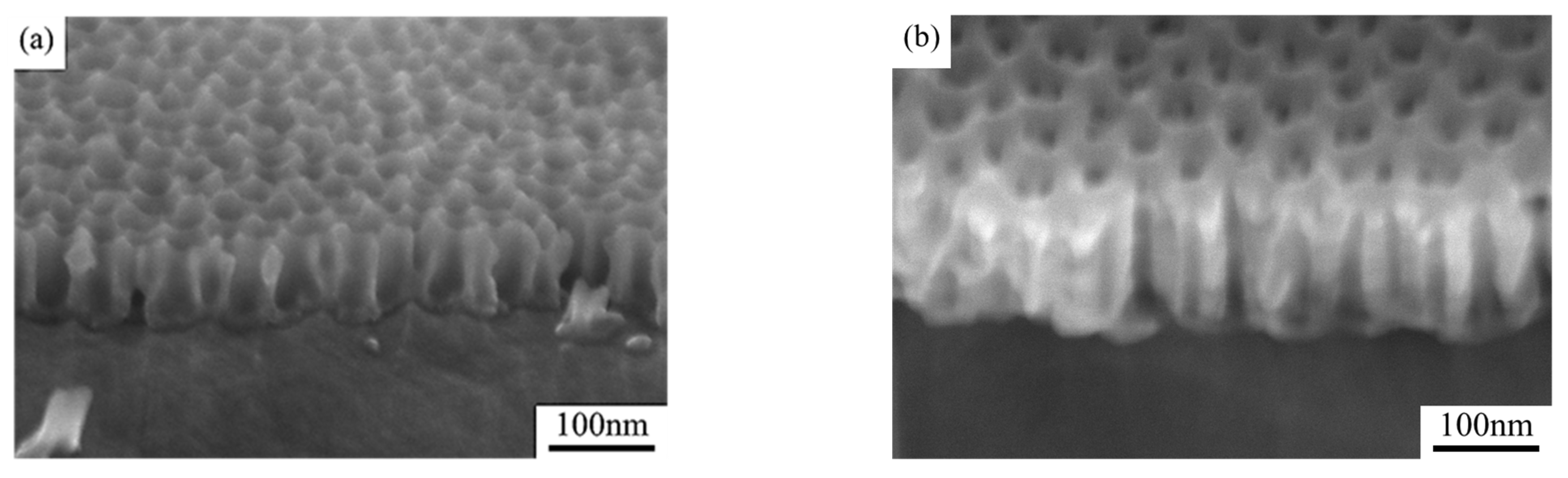 Nanomaterials 15 00890 g003