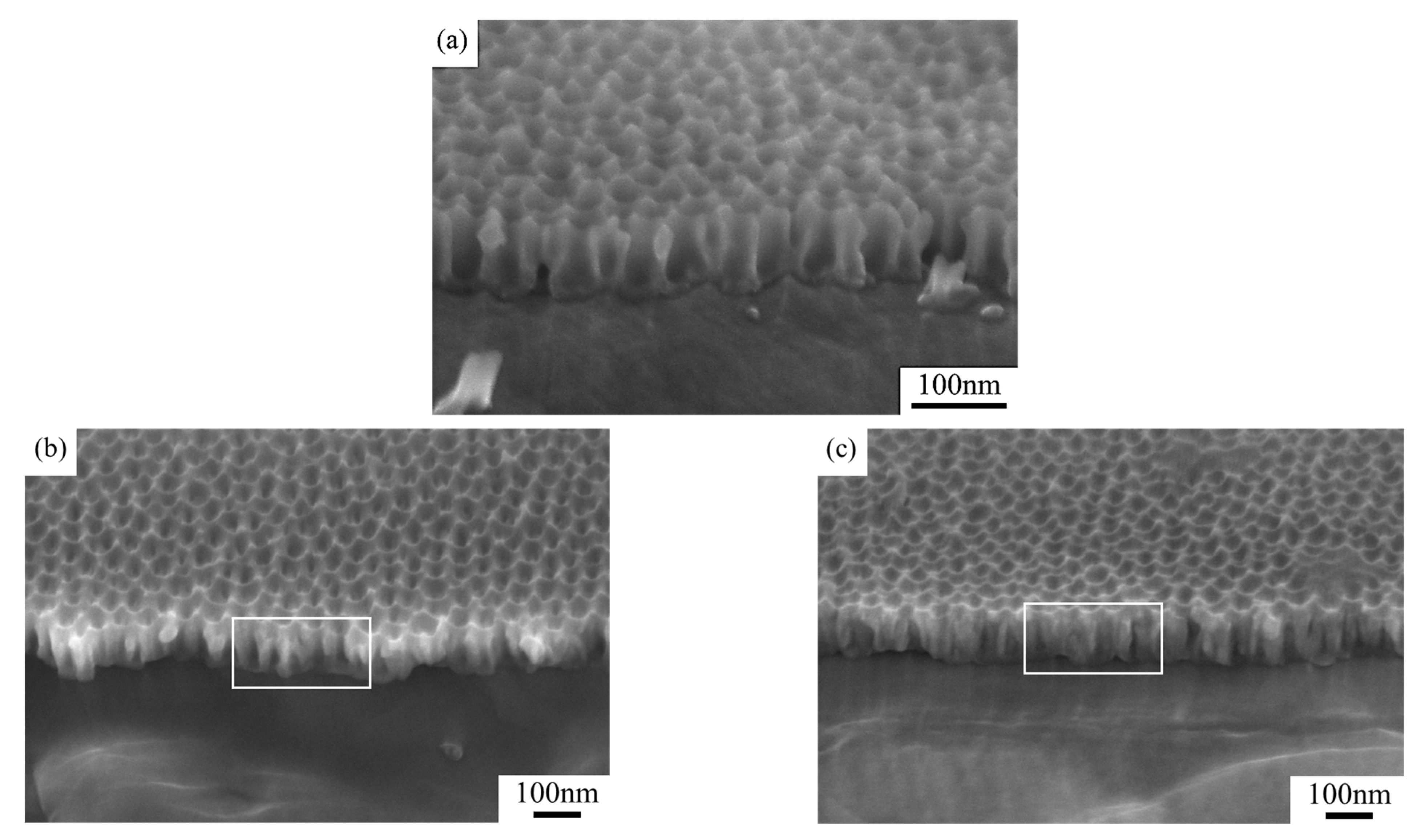 Nanomaterials 15 00890 g005